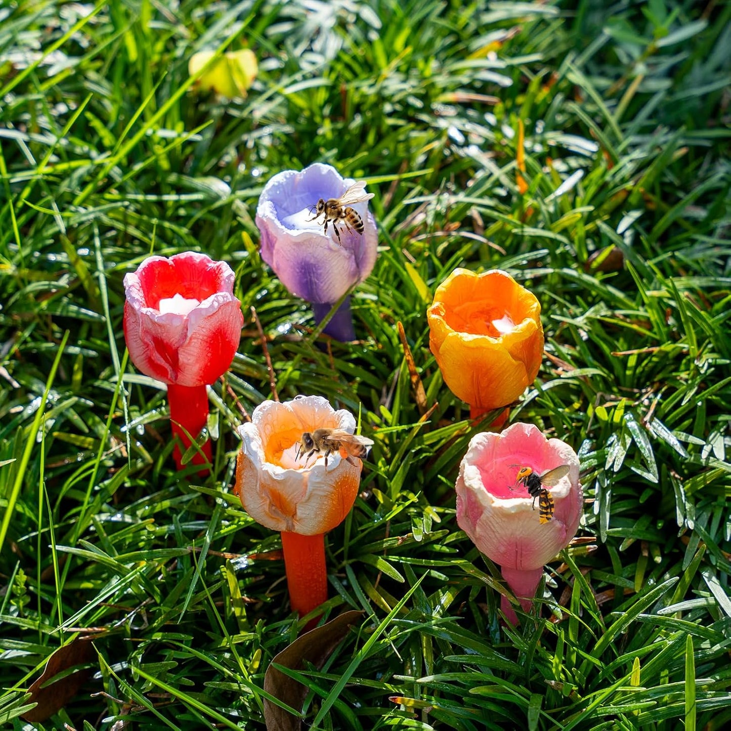 Insect Drinking Water Station, Bee Flower Cups Decor for Garden, Backyard, Porch, Balcony | Water Feeder for Bee, Butterfly, Ladybug, Wasp and More (Multicolor, Tulip + Petunia)