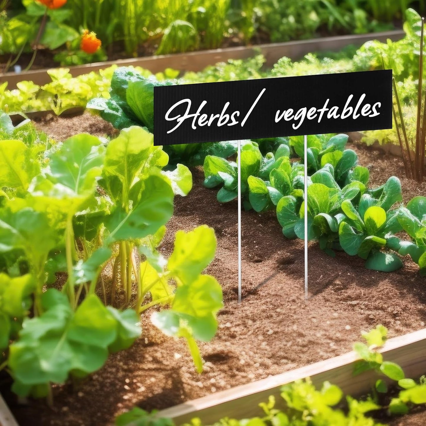 10 Set Jumbo Outdoor Plant Label Stakes Waterproof Nursery Garden Markers Plastic T Type Plant Tag Identification Stake with Marker Pen for Herb Vegetable Flowers, 12" High (Black)