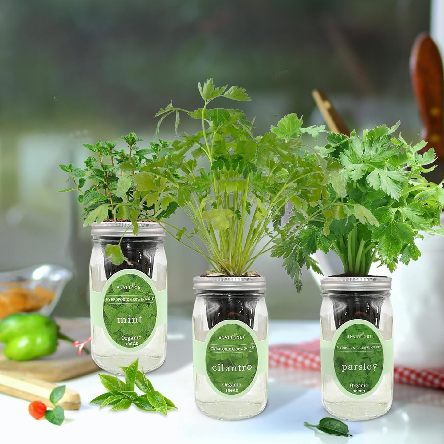 Hydroponic Herb Growing Kit Set, Self-Watering Mason Jar Herb Garden Starter Kit Indoor, Windowsill Herbs Garden, Grow Your Own Herbs from Organic Seeds (Mint, Cilantro and Parsley)