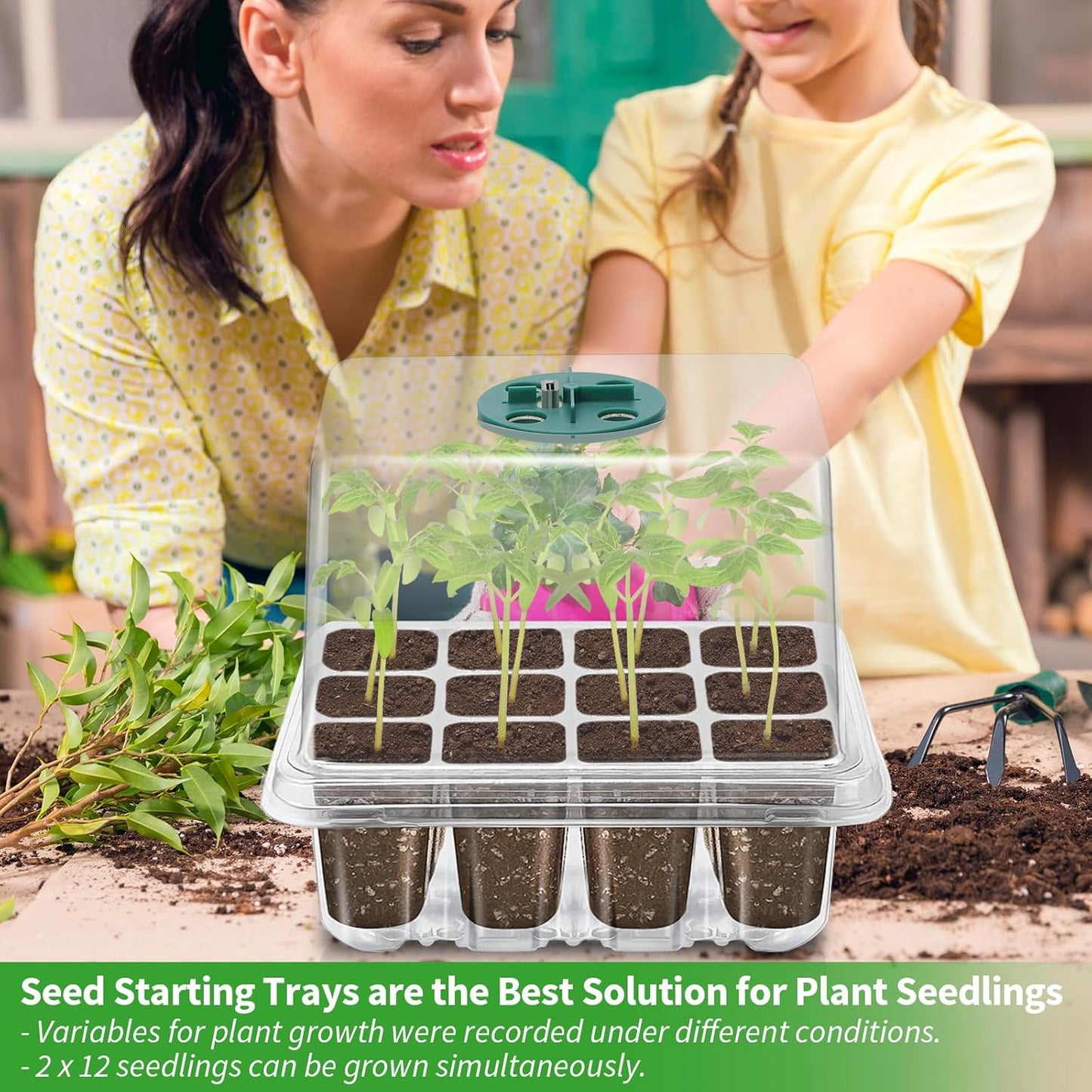 Seed Starter Tray with Plant Light, 2 Pack Grow Lights for Seed Starting Kit with Humidity Domes, Timing Controller Adjustable Brightness for Greenhouse Propagator Station Growing Transparent