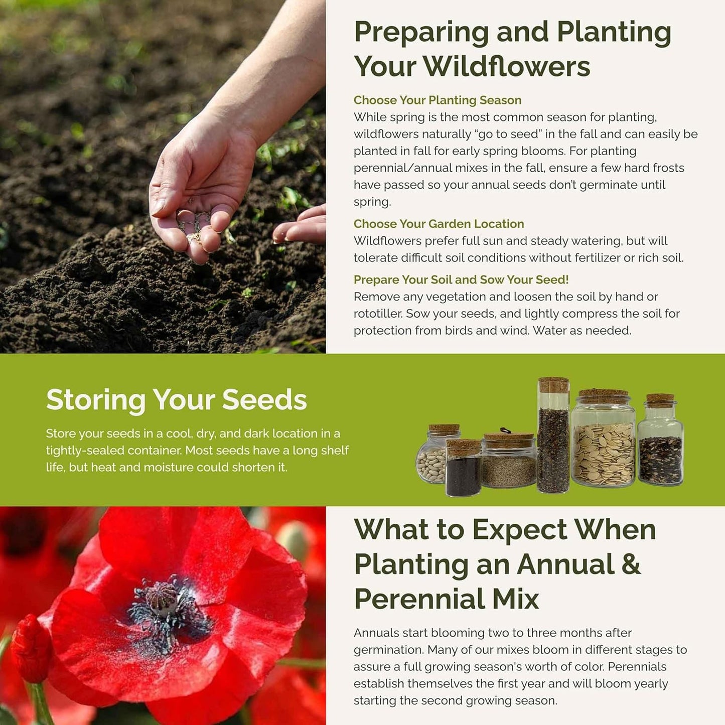 Eden Brothers Flowery Fields Forever Flower Mixed Seeds for Planting, 5 lb, 2,400,000+ Seeds with Cornflower, Candytuft | Attracts Pollinators, Plant in Spring or Fall, Zones 3, 4, 5, 6, 7, 8, 9, 10