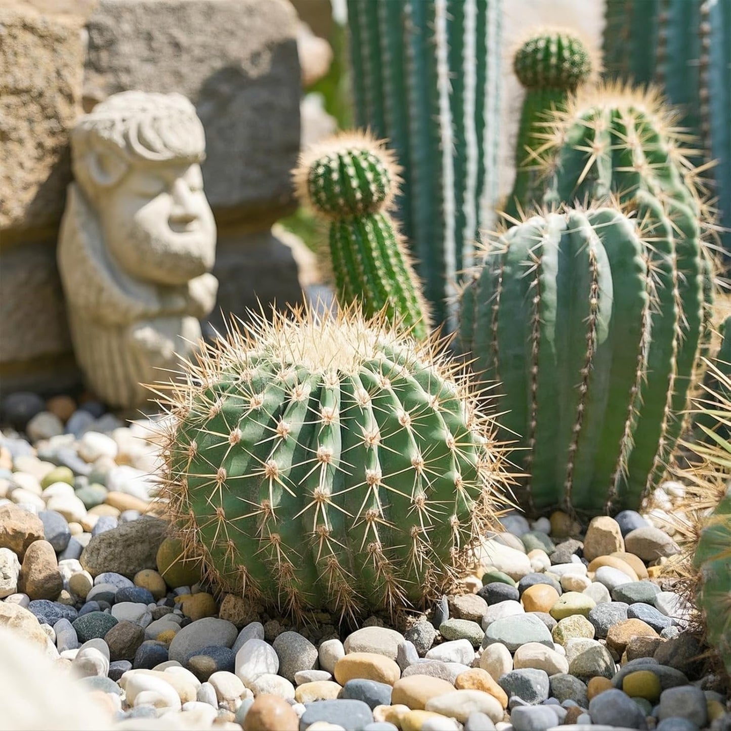 Large River Rocks, 20lbs Aquarium Rocks, 3-4 Inch Colorful Pebbles for Indoor Plants, Natural Stones for Landscaping Garden Paving Plant Rocks Crafting Walkways