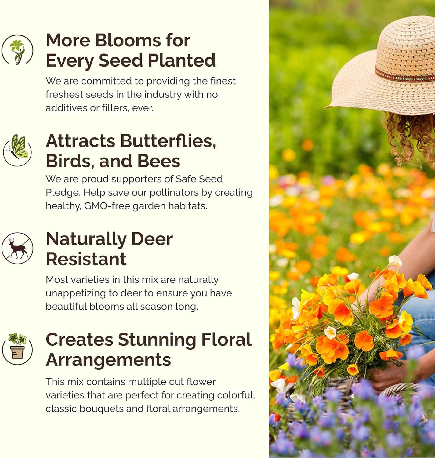 Eden Brothers Rugged Beauty Flower Mixed Seeds for Planting, 1 lb, 480,000+ Seeds with Cornflower Tall Blue, Candytuft | Attracts Pollinators, Plant in Spring or Fall, Zones 3, 4, 5, 6, 7, 8, 9, 10