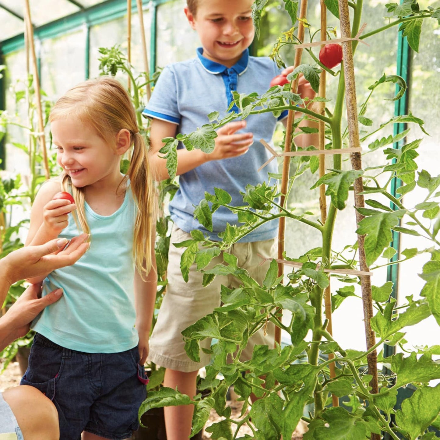 1000 Pcs Twist Ties, Kraft Paper Twist Ties Plant Ties Reusable Bread Ties for Party Cello Candy Coffee Treat Bags Cake Pops (9.8'')