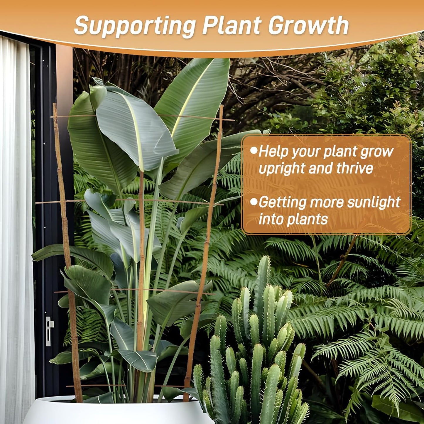 10 Pack 3ft Bamboo Trellis for Climbing Plants-Natural Garden Ladder Trellis, Fan -Shaped Support Trellis for Potted Plant Decor in Door