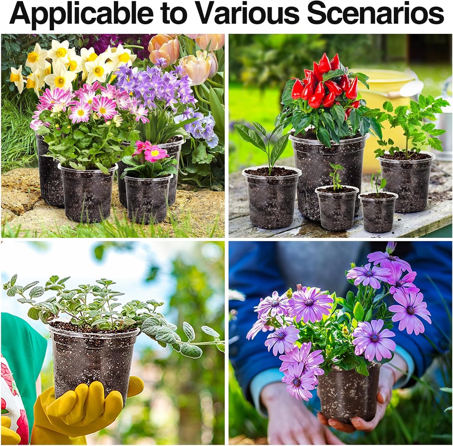 Bonviee 36 Packs 6.7/5/4/3.5 Inch Clear Nursery Pots for Plants, Reinforced Clear Nursery Pots with Drainage Hole,Transparent Plastic Plant Pot Seedling Planter Seed Starter Flower