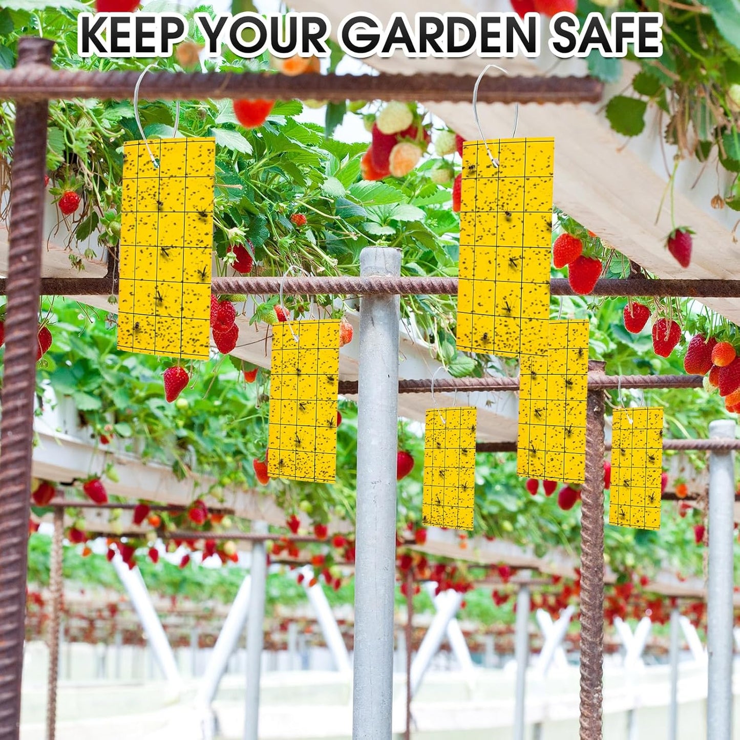 Qualirey 100 Pcs Yellow Sticky Trap for Gnats 3 x 5'' Dual Side Sticky Fruit Fly Trap with Tie Plant Sticky Trap for Flying Insect Fungus Bugs Flying Sticky Trap Sticky for Indoor Outdoor