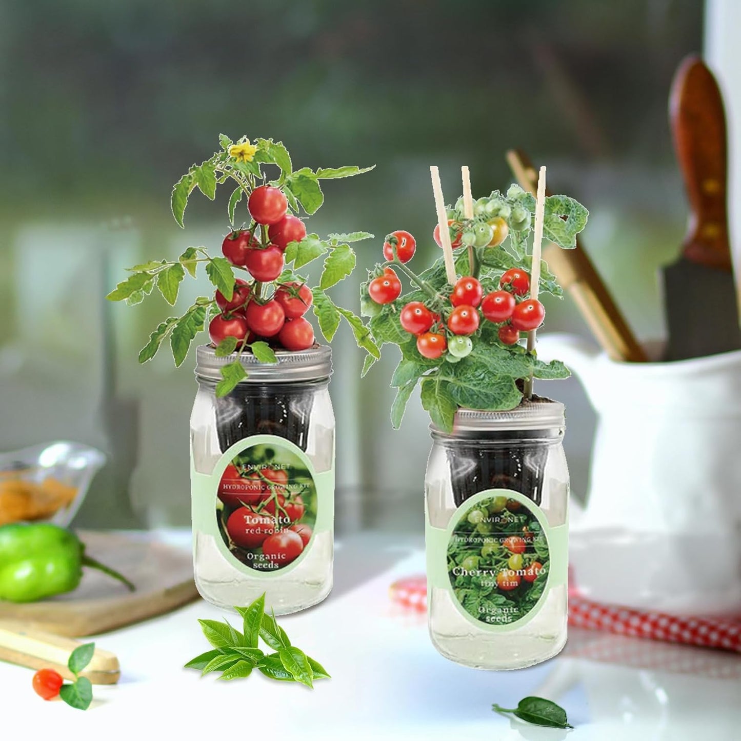 2-Pack Hydroponic Mason Jar Herb Garden Kit, Indoor Herb Garden Self-Watering Starter Kit (Cherry Tomato,Red Robin Tmato)