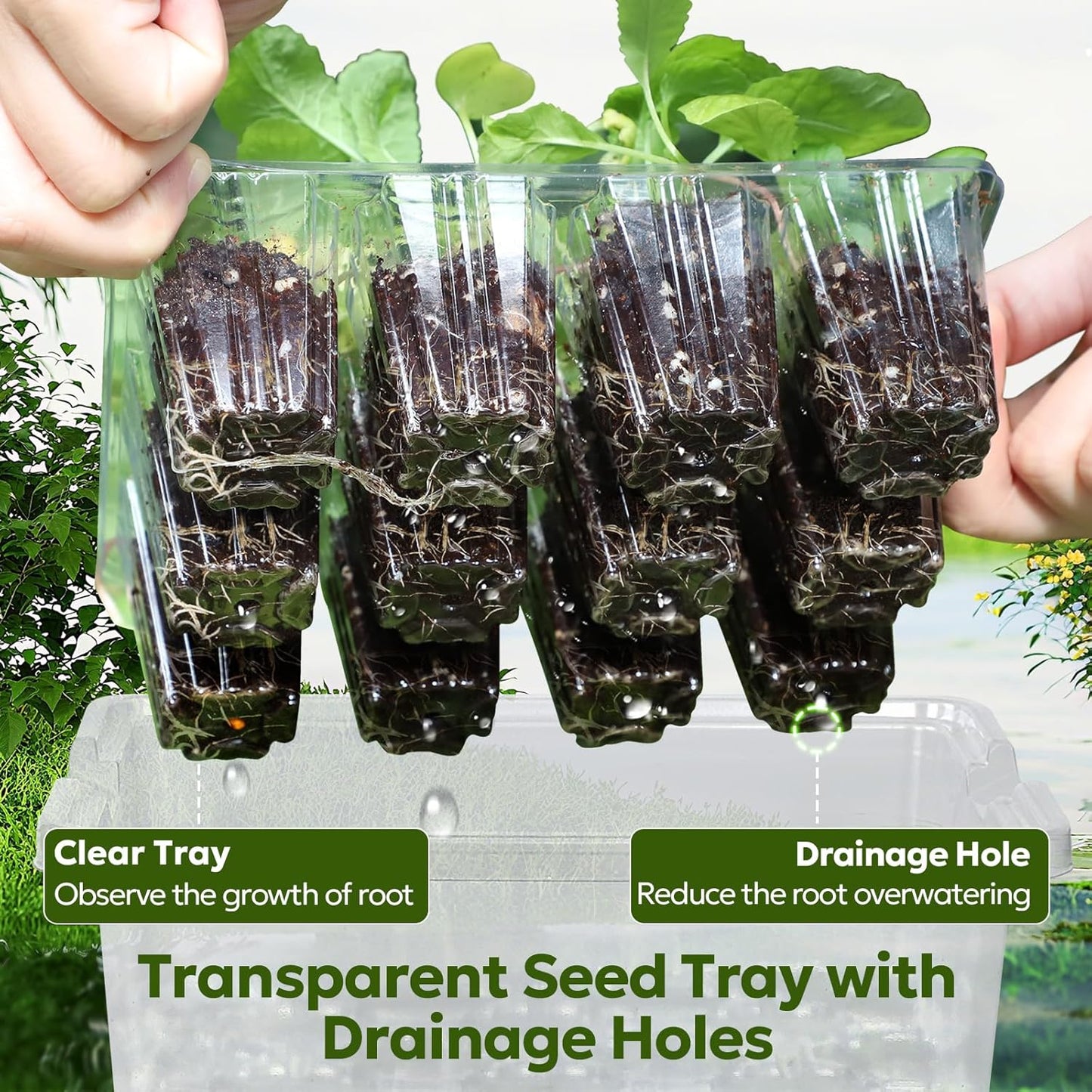 MIXC Seed Starter Kit with Grow Light, Elevated Seedling Tray Kit with Adjustable Humidity Dome and Clear Cell Tray, 12 Full Spectrum Led Beads for Seed Starting Greenhouse, 6 Pack, Transparent