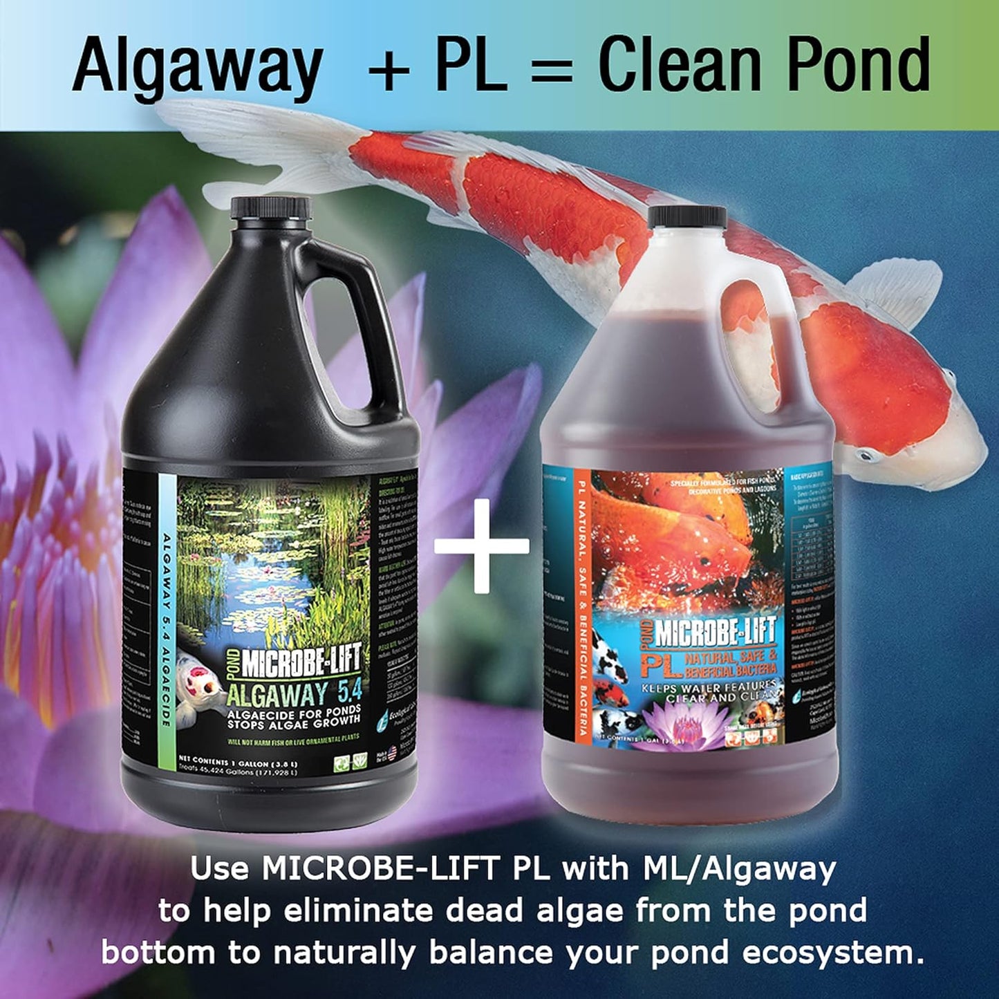 MICROBE-LIFT ALGAGAL Algaway 5.4 Algae Control Treatment for Ponds and Water Gardens, Safe for Koi Fish, Goldfish, Plants, and Decorations, 1 Gallon