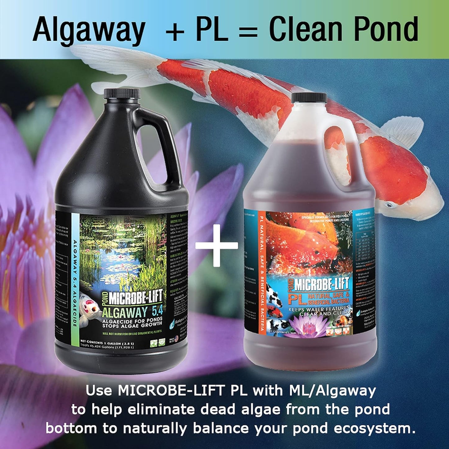 MICROBE-LIFT ALGA32 Algaway 5.4 Algae Control Treatment for Ponds and Water Gardens, Safe for Koi Fish, Goldfish, Plants, and Decorations, 32 Ounces