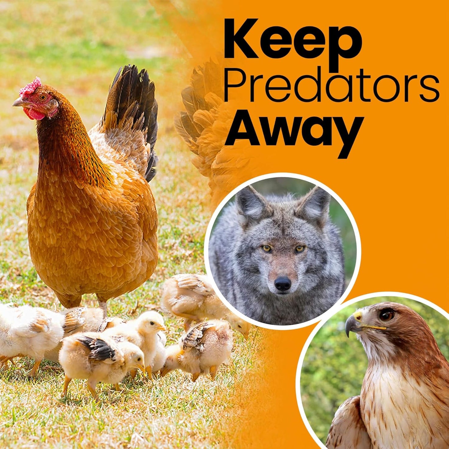 Heavy Duty Bird Netting for Chicken Coops & Runs | Tree & Garden Netting Mesh 1-1/2" | Keep Hawks, Birds & Predators Away | Bird Netting for Blueberry Bushes, Vegetables & Fruit (50' x 50’)