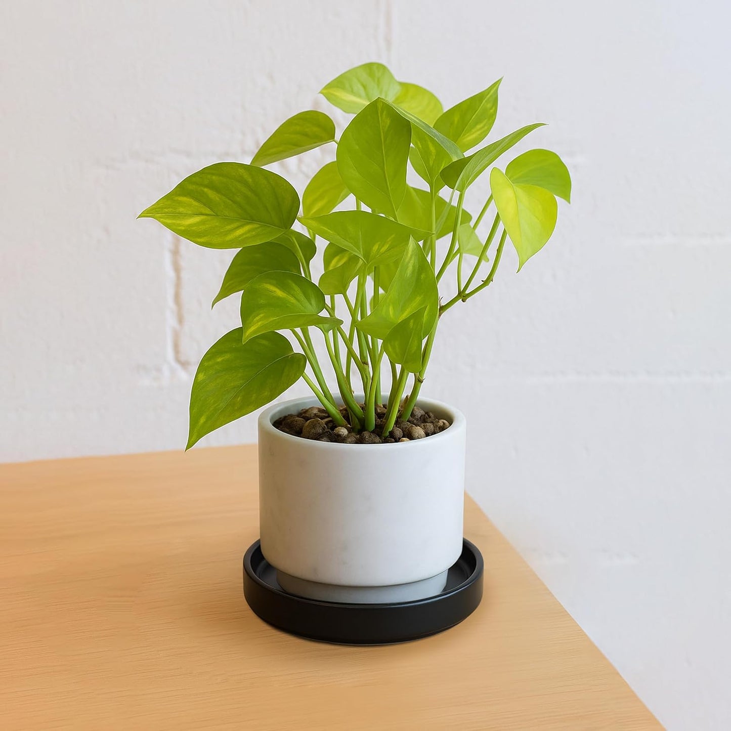 D'vine Dev Modern Round 5.4 Inch Ceramic Plant Pot Saucer, Planter Pot Drainage Tray for Indoor Plants, Set of 2, Matte Black, 97-T-B-22