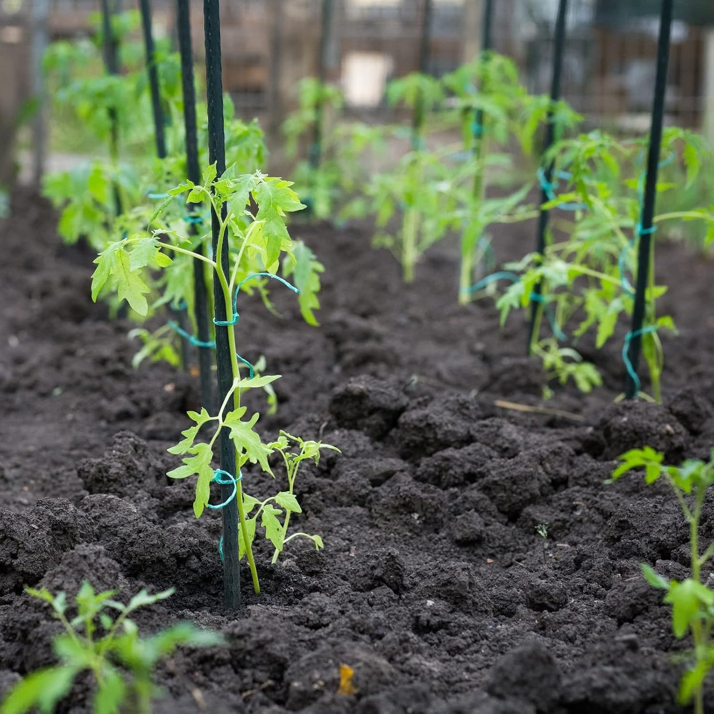 Garden Stakes 48'' Plant Sticks, 50PCS Plastic Coated Steel 4ft Plant Stakes Support for Growing Climbing Plants, Tomato Stakes Gardening Supplies