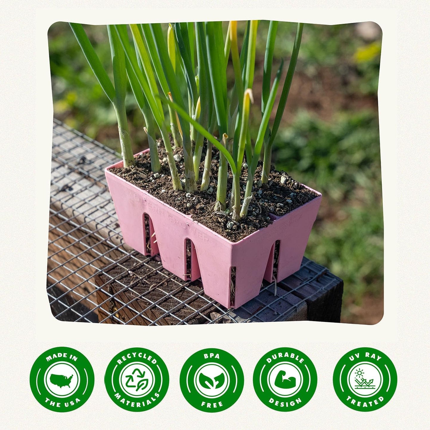 Epic Gardening Reusable Seed Starter Tray - 6 Cell/6 Seedling Starter Trays - Easy Watering, Indoor Greenhouse, Plant Starter, Gardener-Friendly for Seedlings | UV-Treated & BPA-Free - Pink