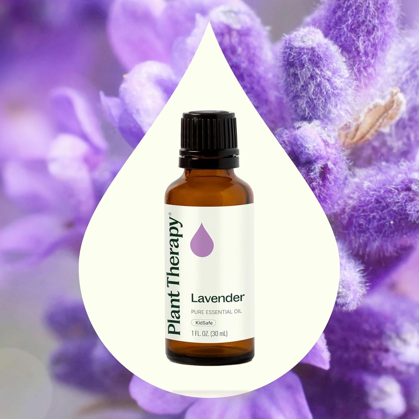 Plant Therapy Lavender Essential Oil 100% Pure, Undiluted, Natural Aromatherapy, Therapeutic Grade 30 mL (1 oz)
