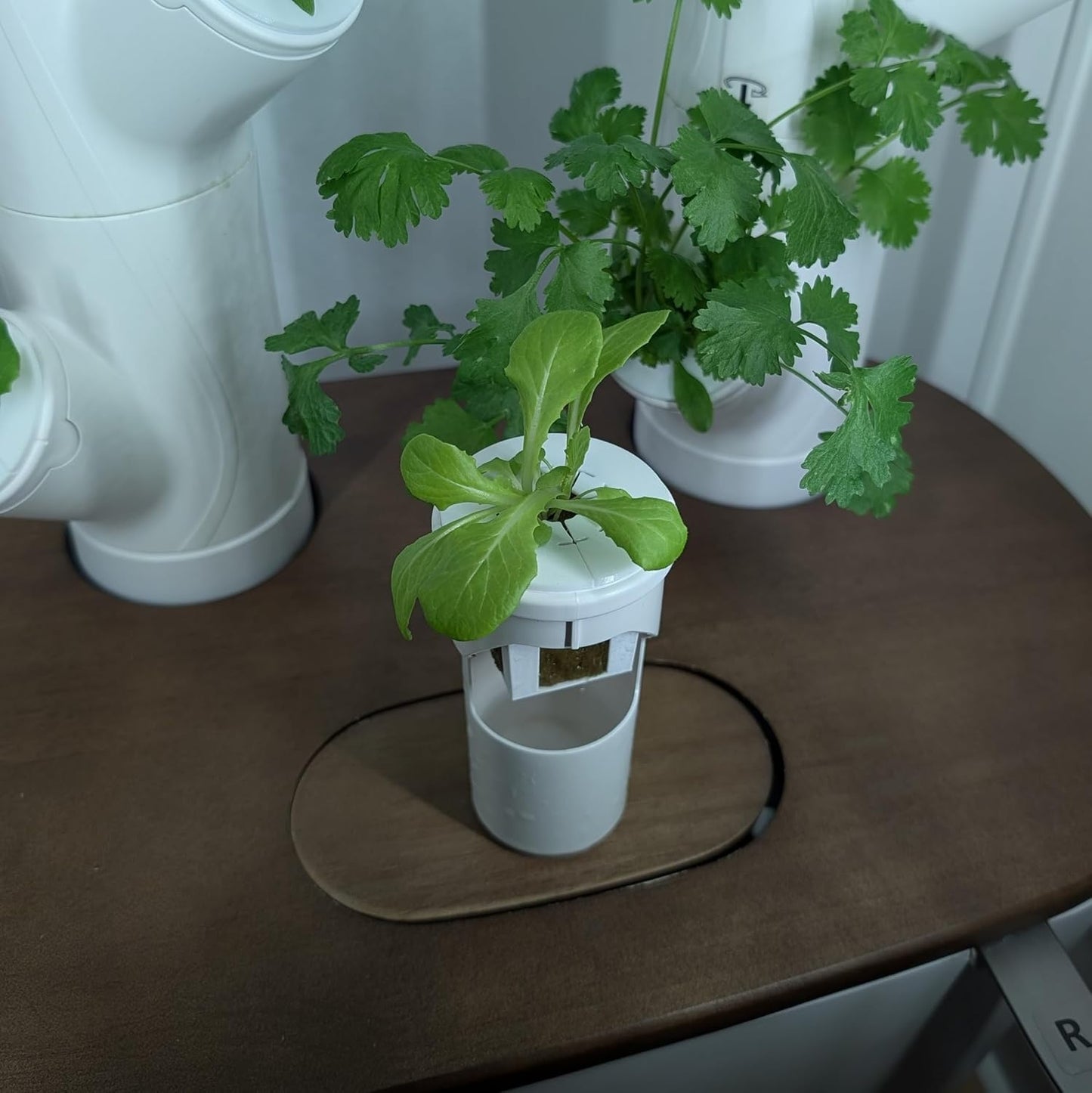 Grow Cubes for Hydroponic System/Compatible with Gardyn (15 Cubes+Rockwool)