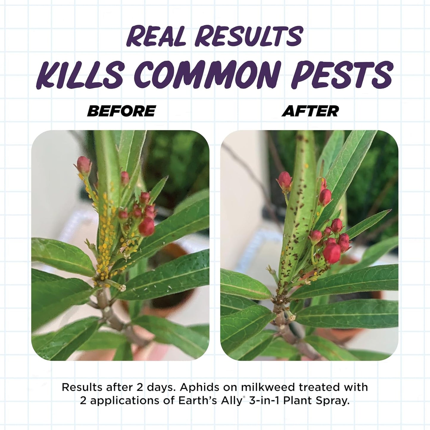 Earth's Ally 3-in-1 Plant Spray 32 oz Conc. Makes 4 gal | Insecticide, Fungicide & Spider Mite Control for Organic Gardening