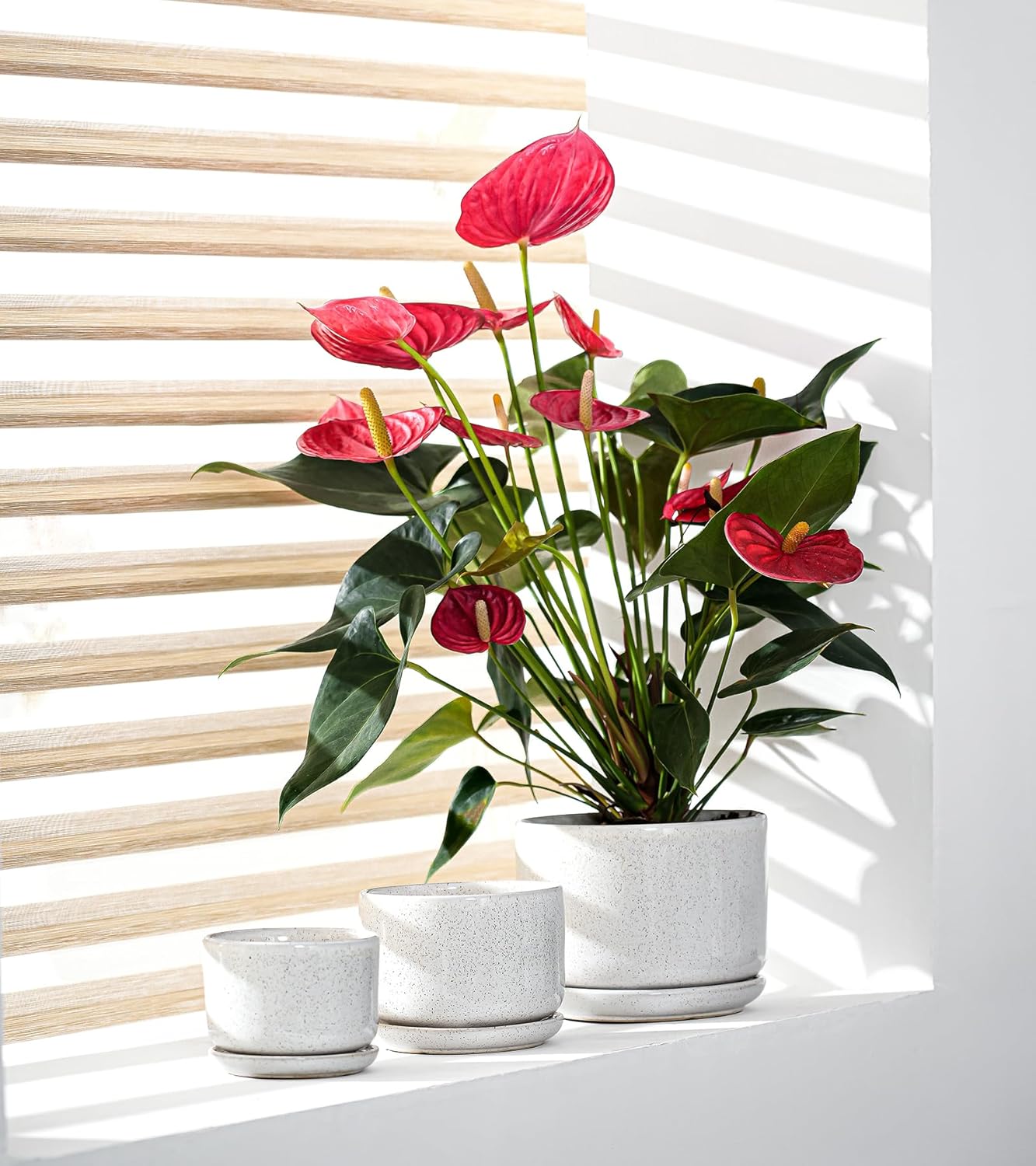 Ton Sin Plant Pots, 4.1+5.1+6.5 inch, Set of 3, Ceramic Planters with Drainage Hole and Saucer, Indoor Flower Pot with Hole Mesh Pad, Gifts for Mom(Reactive Glaze White)