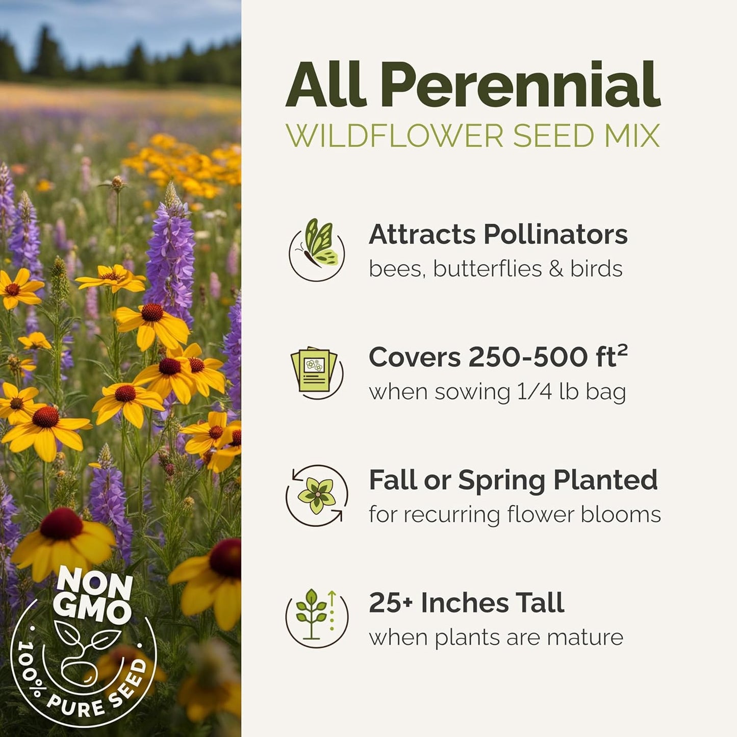 Eden Brothers All Perennial Wildflower Mixed Seeds for Planting, 1 lb, 480,000+ Seeds with Lupine, Shasta Daisy | Attracts Pollinators, Plant in Spring or Fall, Zones 3, 4, 5, 6, 7, 8, 9, 10