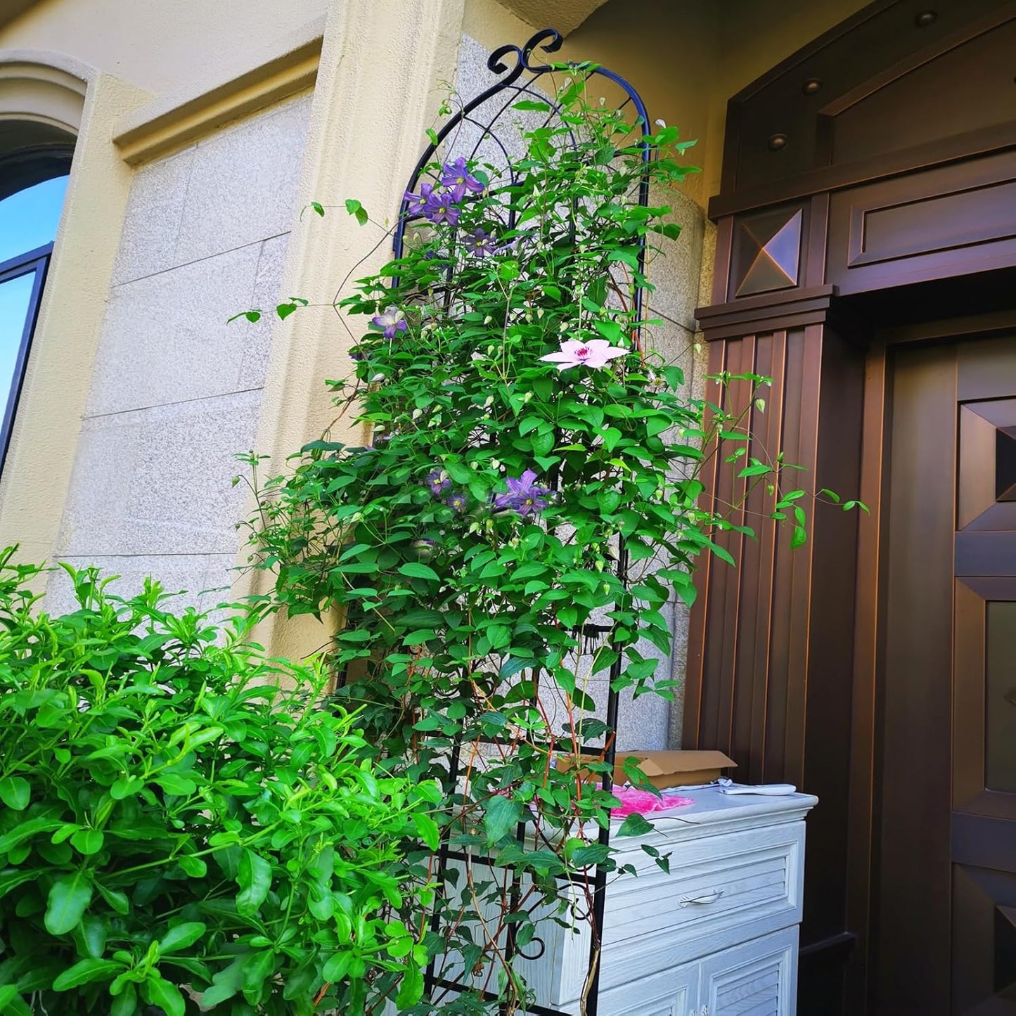 2 Pack Metal Garden Trellis for Climbing Plants, 86.7" Tall Rustproof Outdoor Trellis Panel with Vine Design, Decorative Black Iron Plant Support for Vine, Rose, Flower, Garden Wall