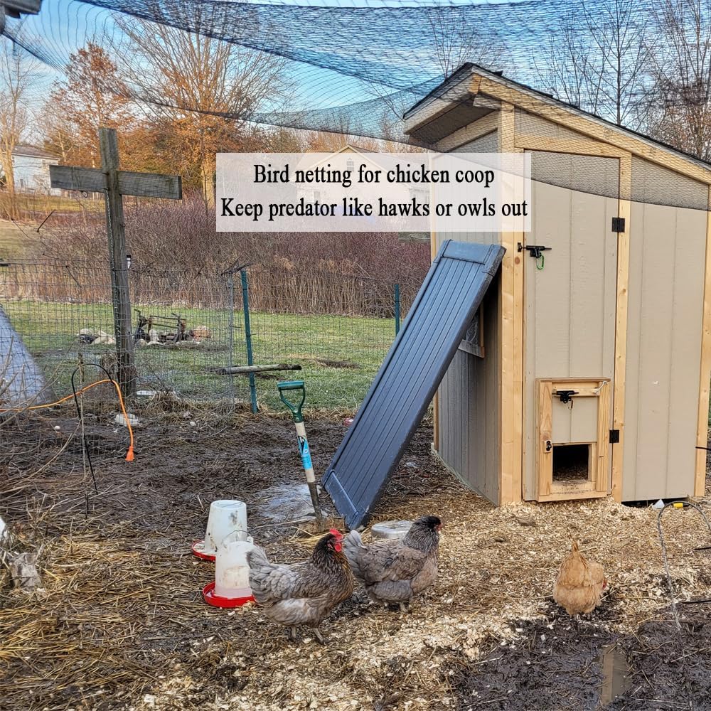 Bird Netting for Chicken Coop 25x100 Ft, 1" Mesh, Strong Woven Poultry Netting Roof Cover for Chicken Run, Heavy Duty Bird Net for Fruit Trees, Blueberry, Vegetables, Garden Protection