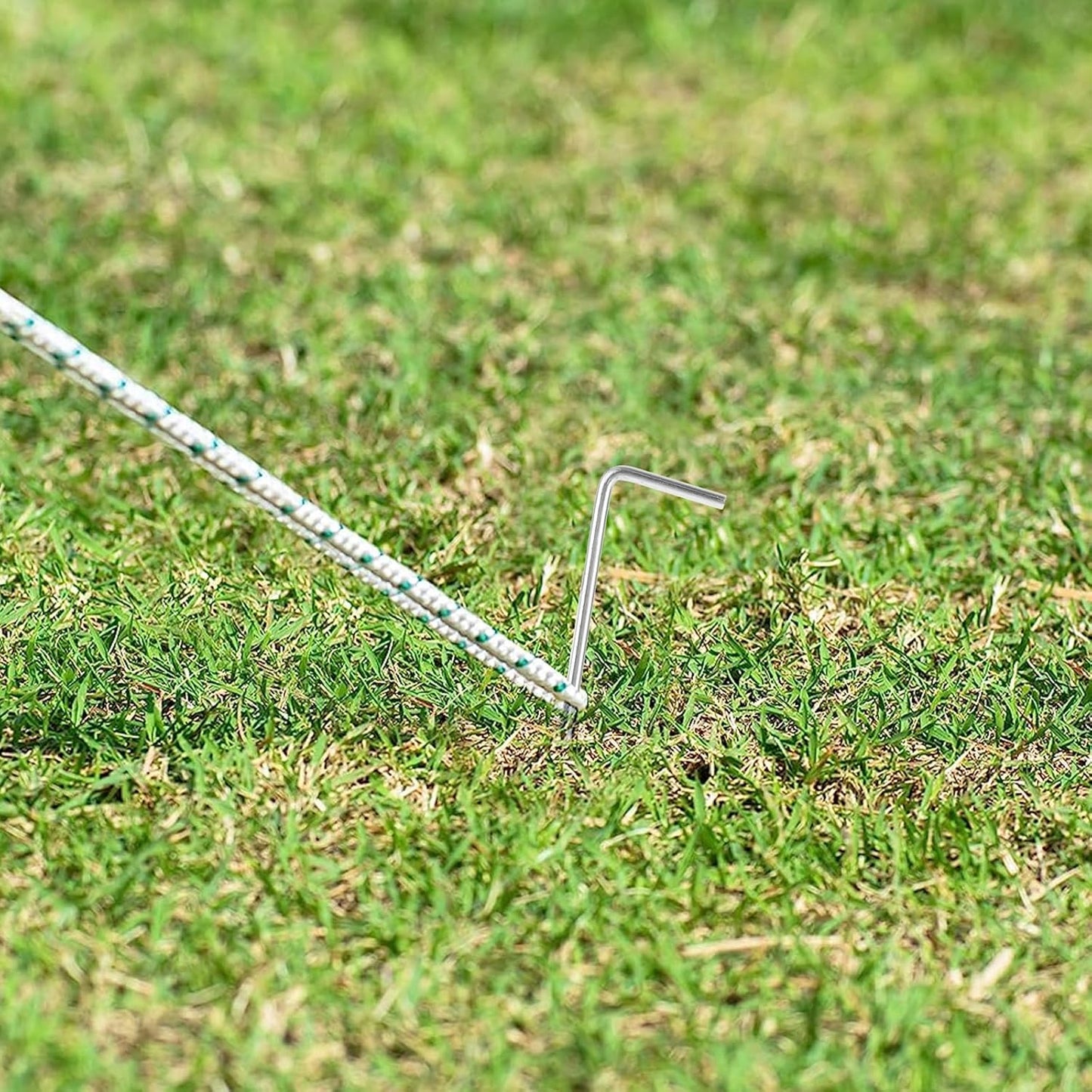 LANIAKEA 100PCS Tent Stakes Metal 8.26in Heavy Duty Ground Stake Fence Hooks Garden Edging Fence Hooks for Pitching Camping Tent Inflatables Outdoor Decorations