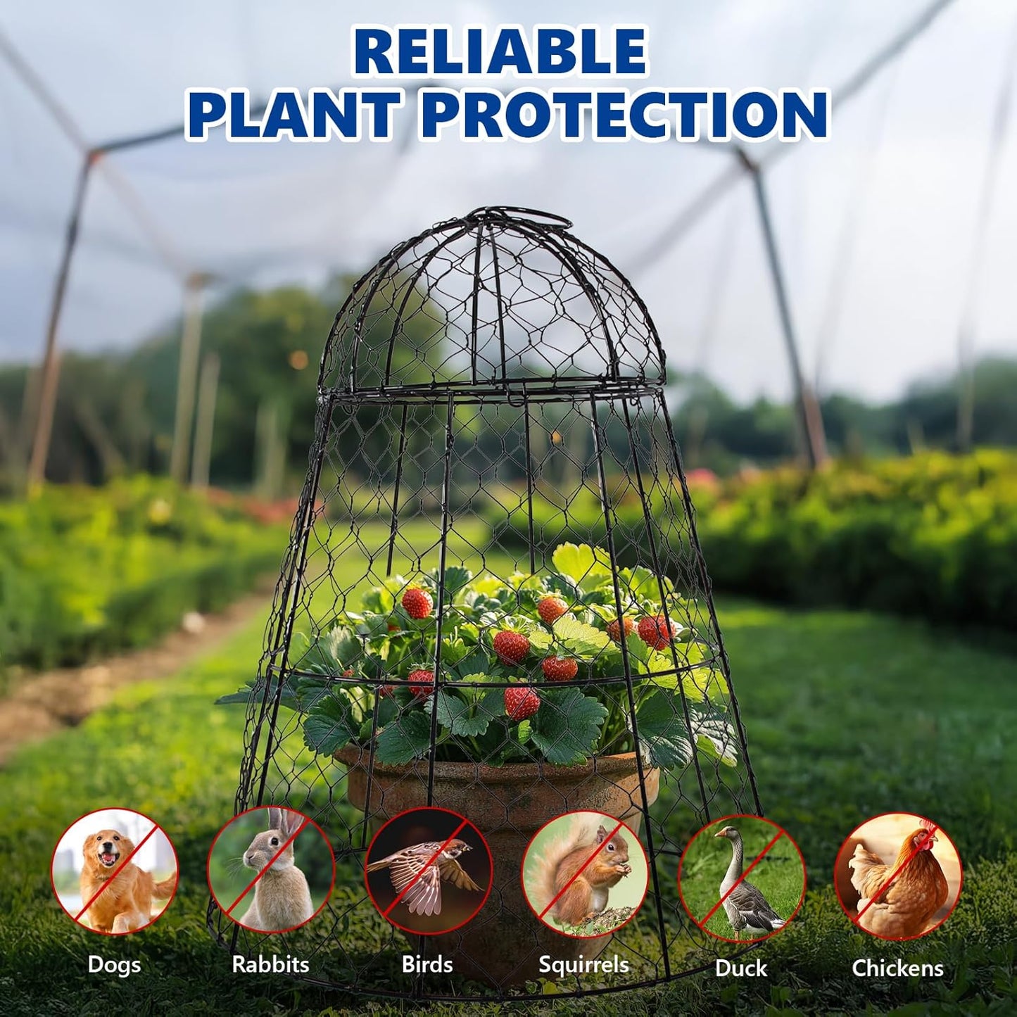 Garden Cloches for Plants - Set of 6 Chicken Wire Plant Cages and Plant Protectors from Animals, 17.7" H x 12.8" D, Outdoor Vegetable and Flower Cages, Sapbontchi Chicken Wire Cloche
