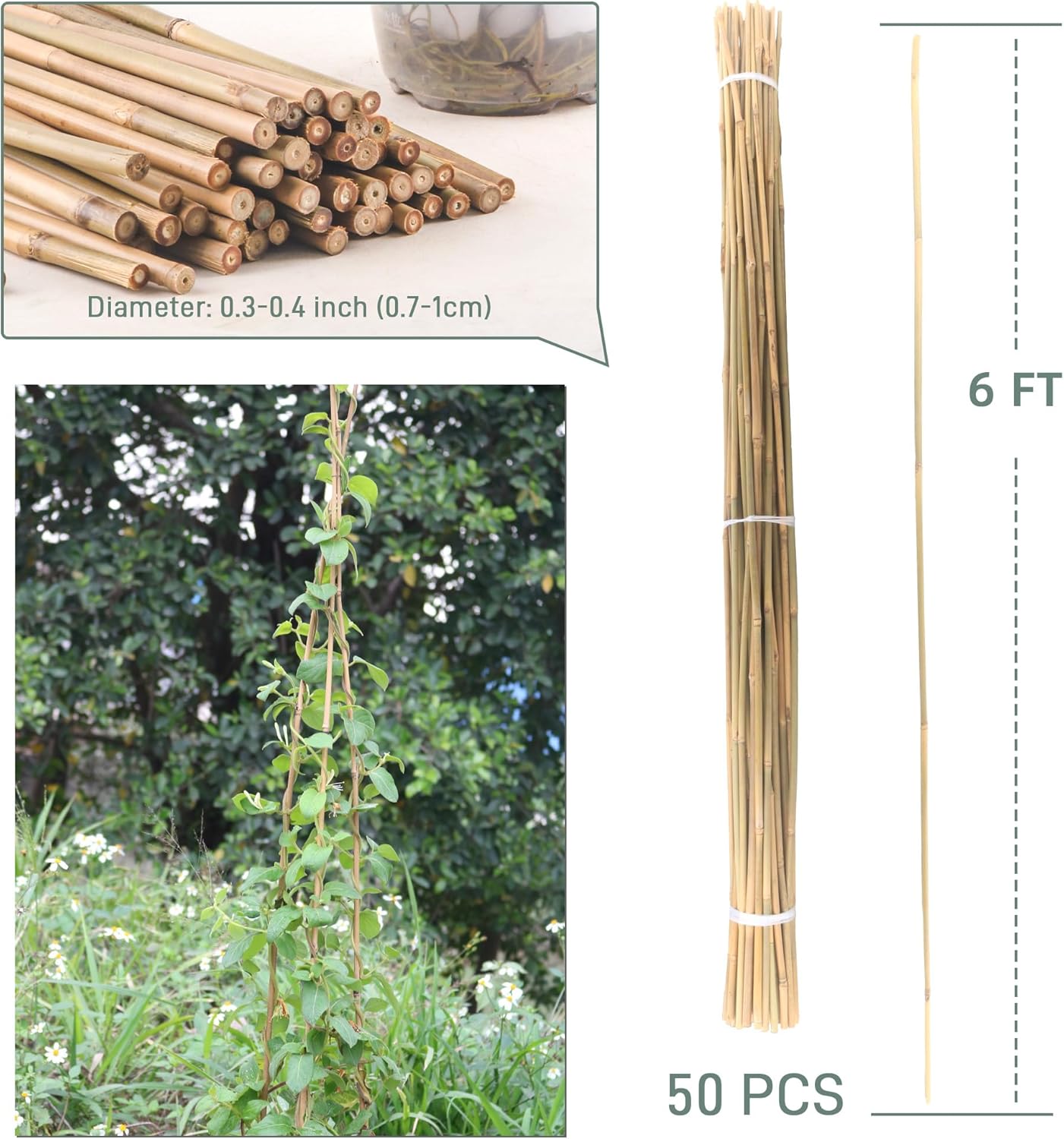 50Pcs / 6ft Bamboo Plant Stakes for Indoor Outdoor Plants, Garden Plant Support Sticks, Poles for Tomato Vegetables Beans Trees Potted Climbing Plants(0.32''-0.4'')