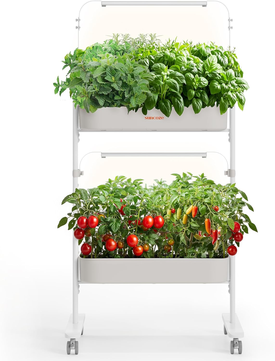 SUNCOZE 2-Tier Hydroponics Growing System Kit with 24 Pods – Full Spectrum Grow Lights, Hydroponic System equipped with smart controller, Indoor Herb Garden Kit for Vegetables, Herbs, Fruits & Flowers
