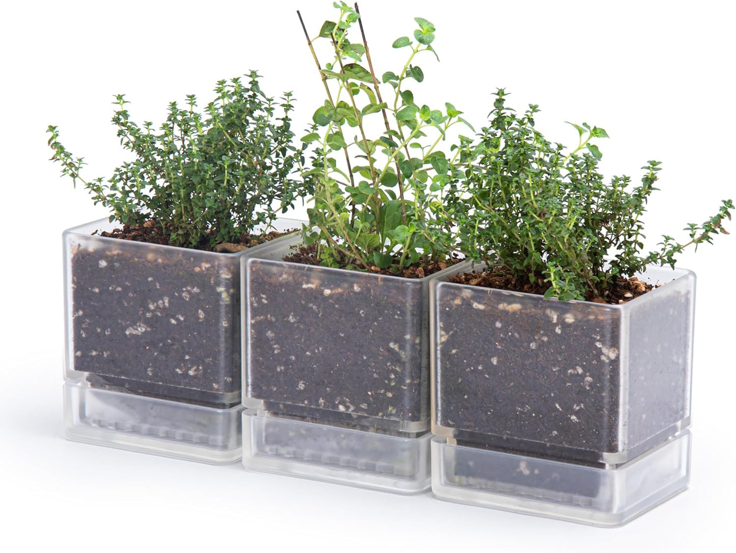 4 Inch Herb Planter Pot, Plastic Planter with Drainage Holes and Saucer, Modern Decorative Gardening Pot for Indoor Plants, Flowers, Herbs, Succulents, Clear, Set of 3, 76-Y-D-3