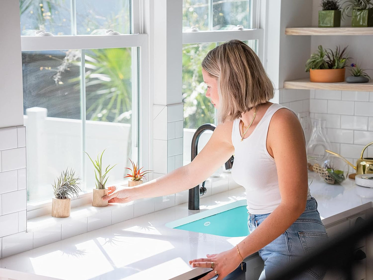 3 Pack Thick Colombian Spanish Moss Live Strands with Wire Hook - Tillandsia Usneiodes - Live Tillandsia Succulent House Plants - Home and Garden Decor - Easy Care Indoor and Outdoor Plants