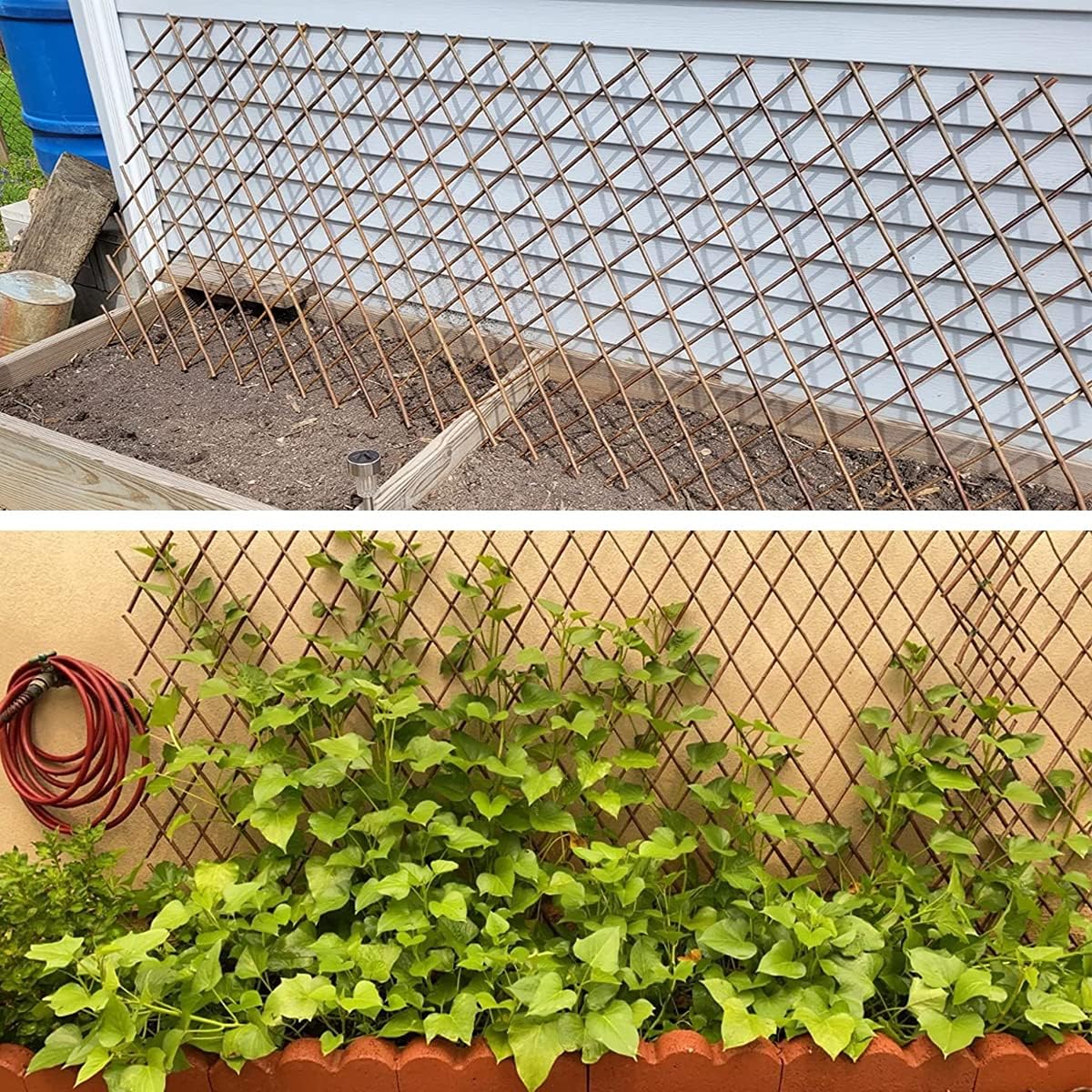 Expandable Willow Trellis for Climbing Plants Outdoors,Nature Garden Fence Lattice Panels for Outside Plant Support for Vine, Ivy, Rose, Cucumbers, Clematis 36x92 Inch(1PC)