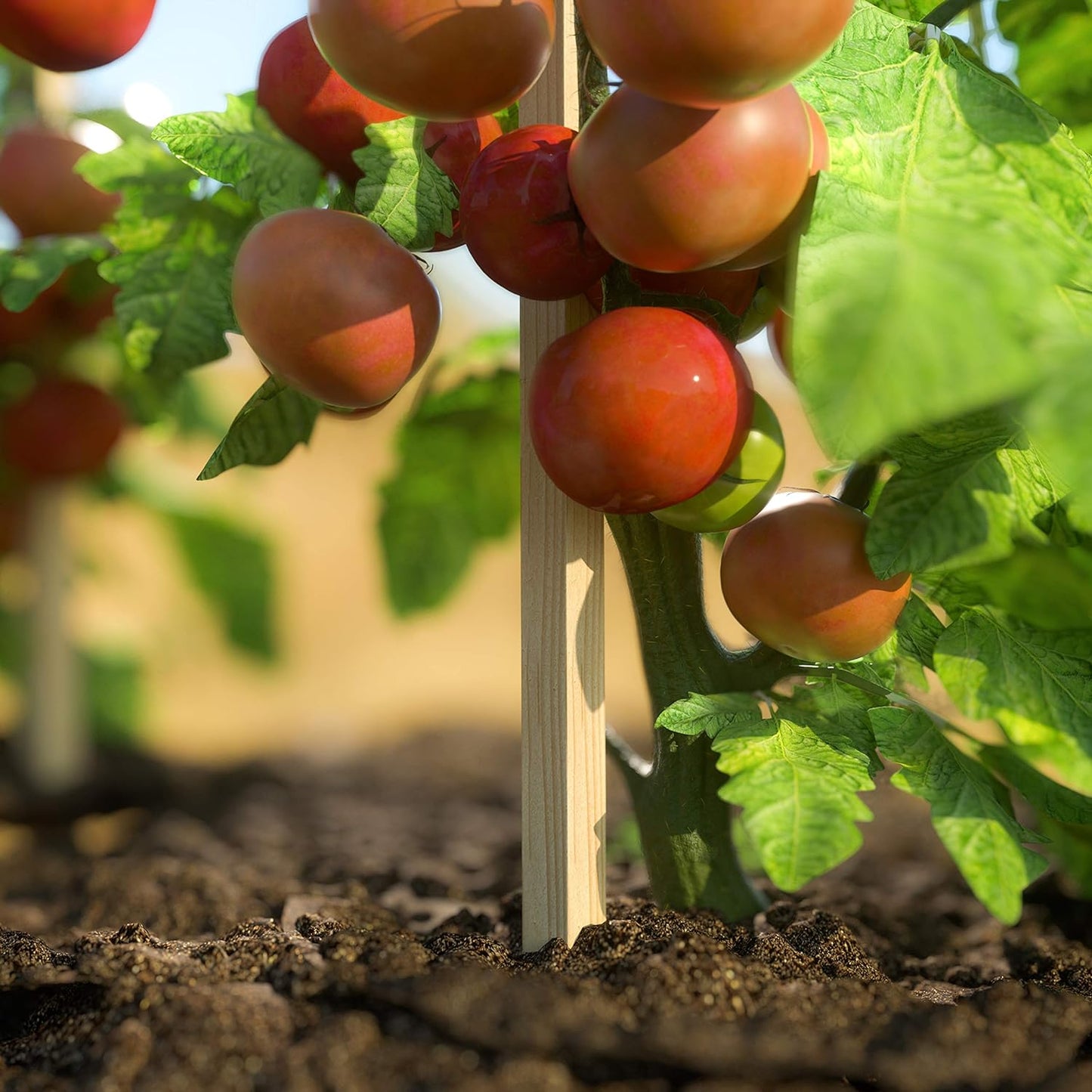 Greenes Fence 4 Ft. Garden and Sign Post Stakes (100 Pack)