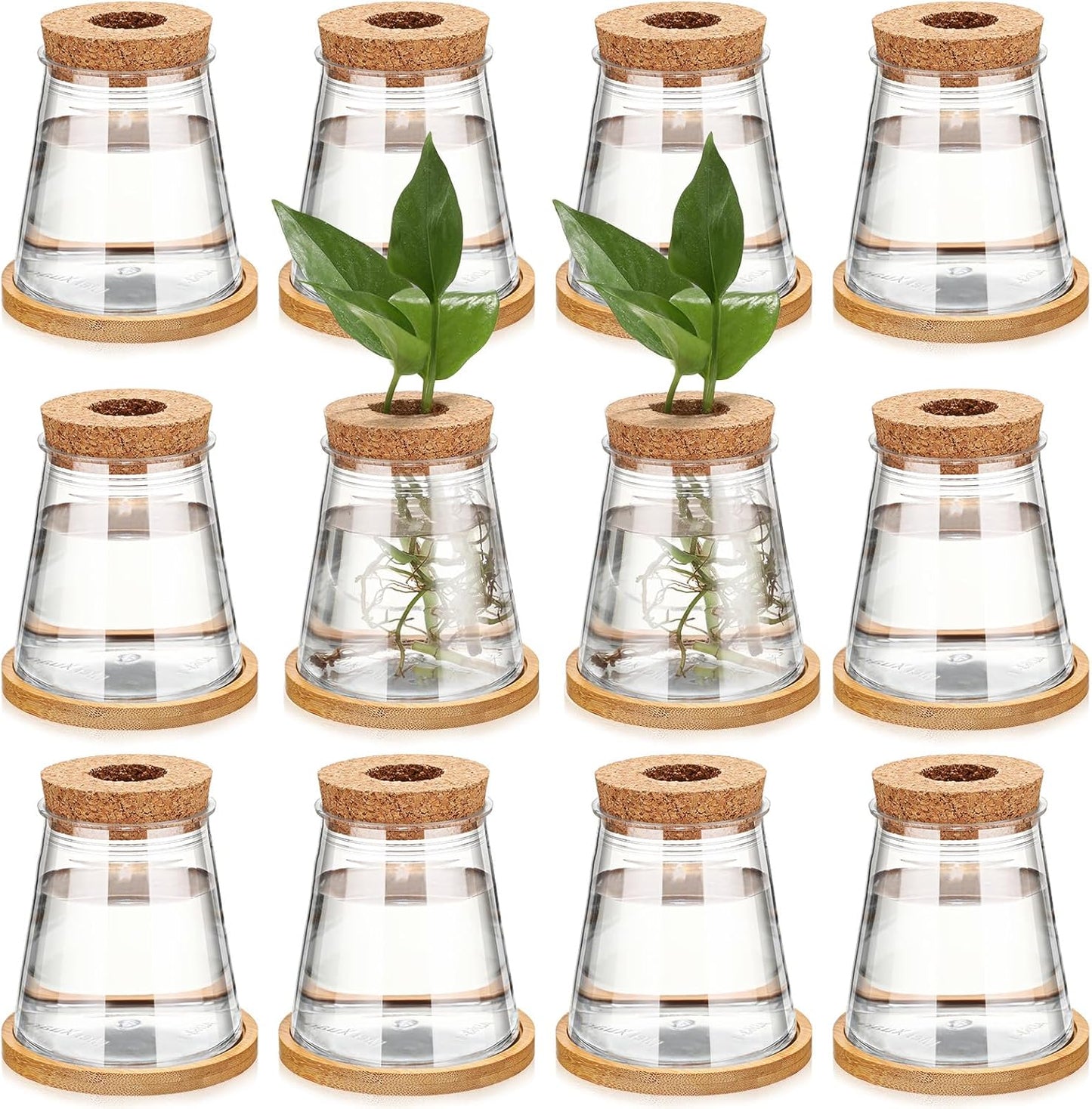 Baderke 12 Packs Plastic Desktop Vase with Hole Lid and Bamboo Stand Plant Propagation Stations Plant Growing in Water Hydroponic Home Office Table Decoration (Fresh Style)