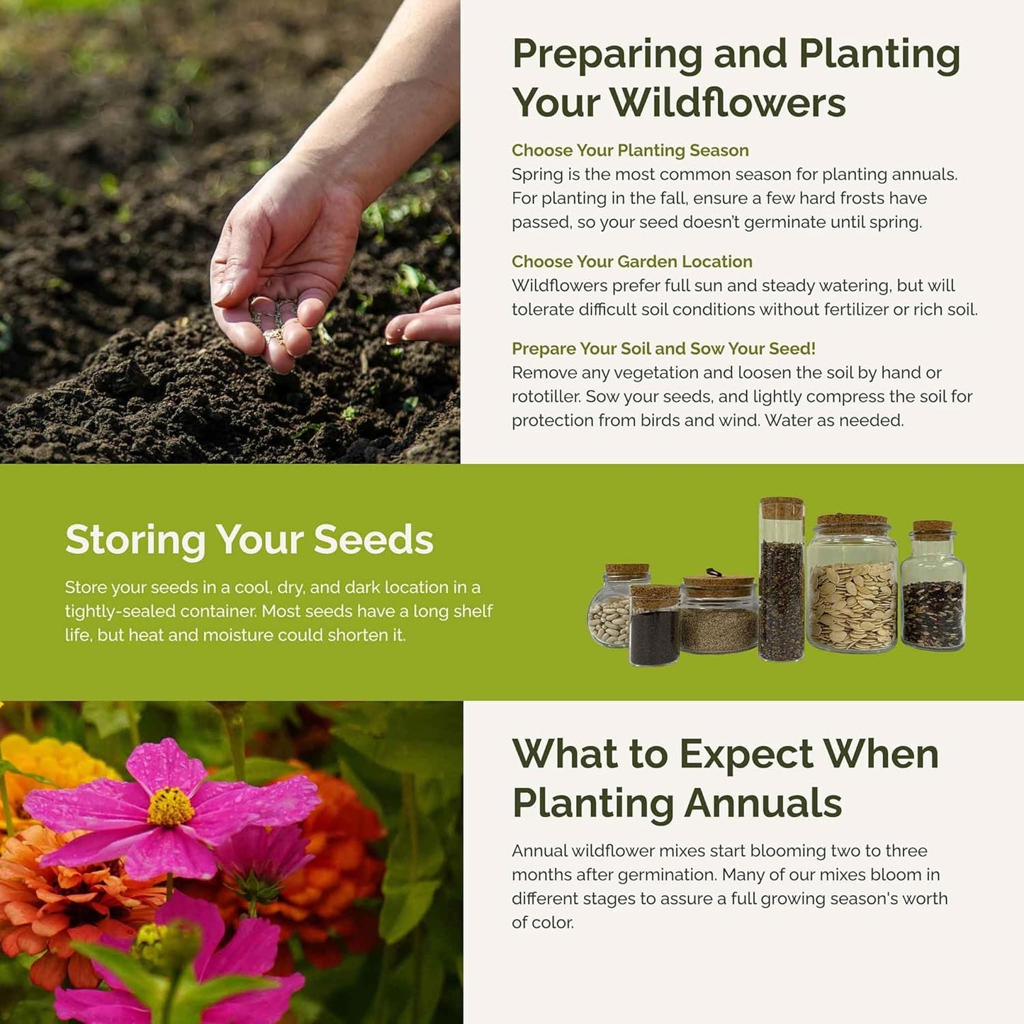 Eden Brothers Cosmic Zen Flower Mixed Seeds for Planting, 1 lb, 480,000+ Seeds with Zinnia Dahlia Flowered, Cosmos Sensation | Attracts Pollinators, Plant in Spring, Zones 3, 4, 5, 6, 7, 8, 9, 10