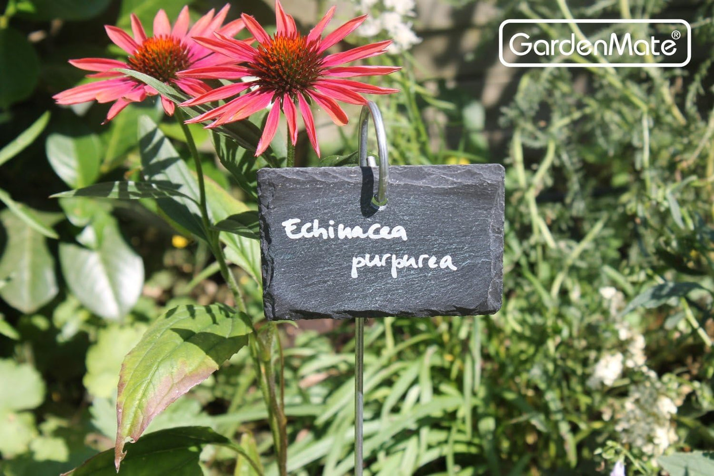 GardenMate 5-Pack Natural Style Slate Plant Labels (4"x 2 3/4") Hanging from a Stainless Steel Metal Rod (17")