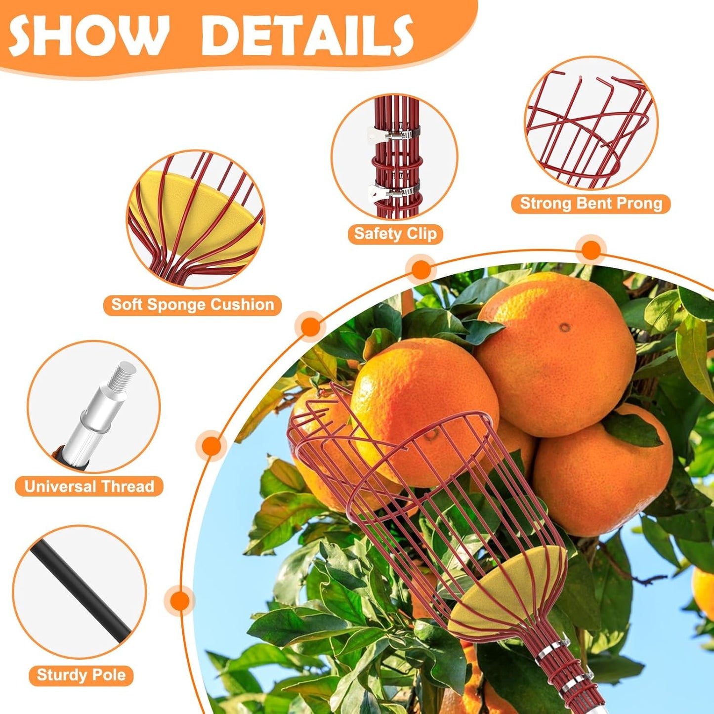 SISIUPASSIE 30FT Reach Fruit Picker, Apple Picker Pole with Basket Telescoping Tool for Apple Lemon Orange Mango Avocado Fruit Tree Picking