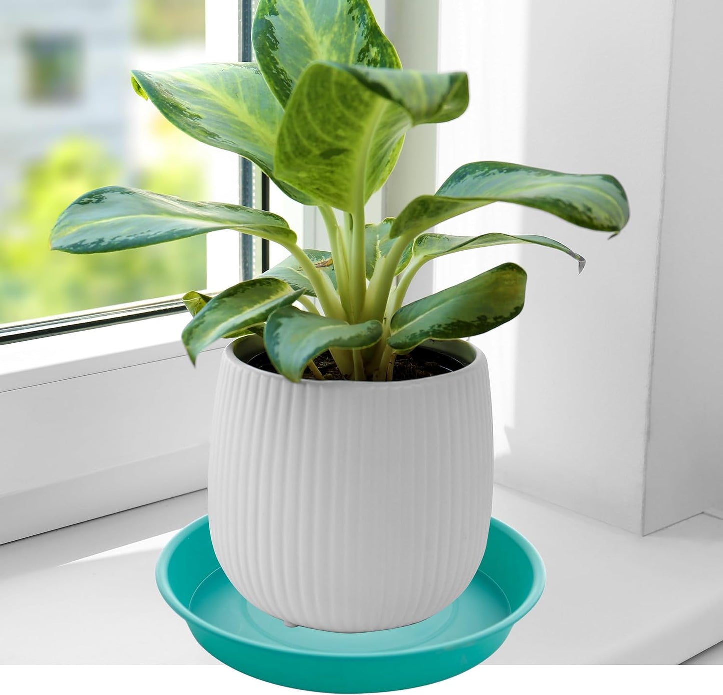 2 Pack of 14 inch Plant Saucers Bird Bath Bow Round, Plastic Plant Saucer Tray for Pots, White Planters for Indoor Plants, Plant Trays for Planter 12-15" (14", Teal)