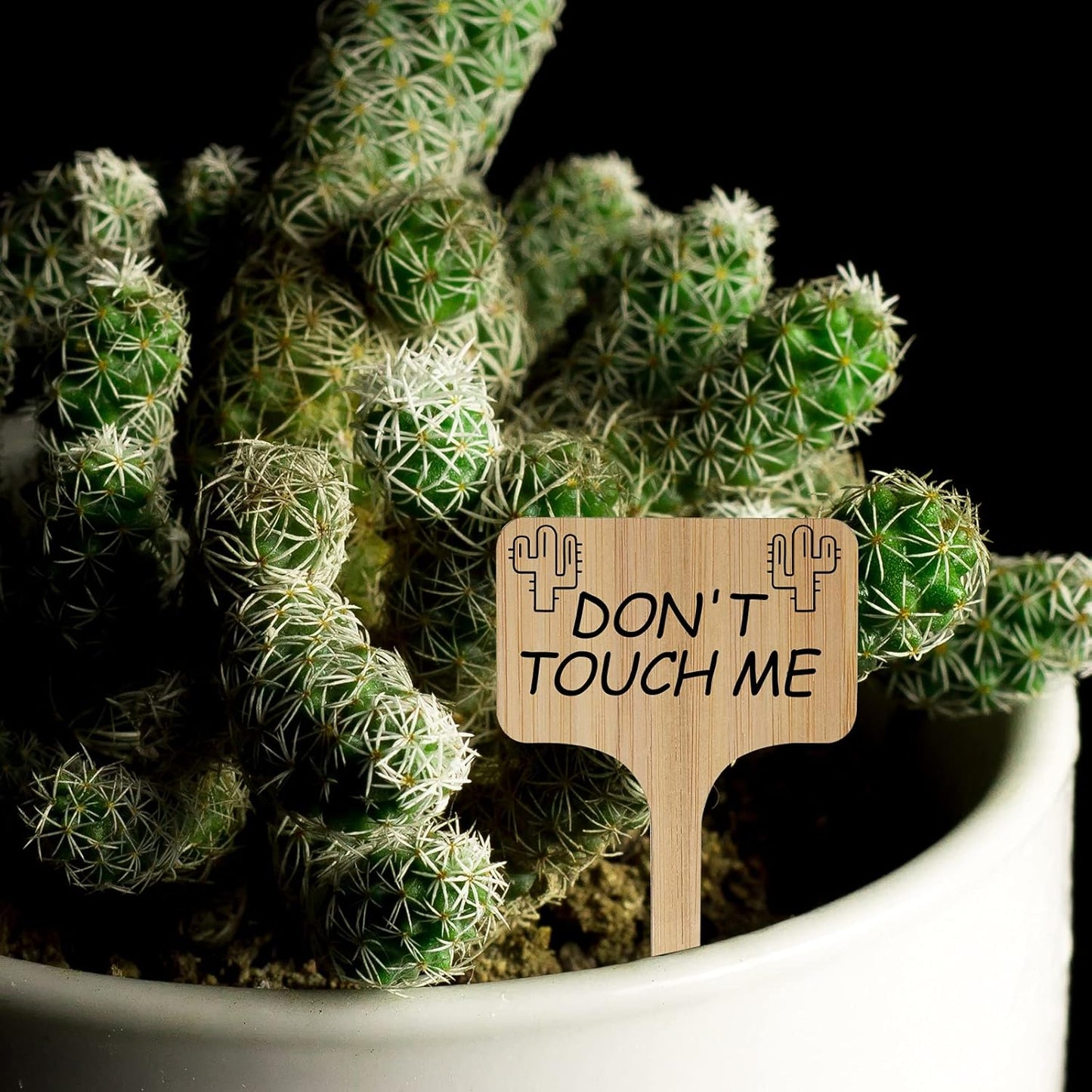 100Pcs Wooden Plant Labels, Eco-Friendly T-Type Bamboo Plant Labels Tags Garden Plant Markers for Seed Potted Herbs Flowers Vegetables (6 x 10 cm)