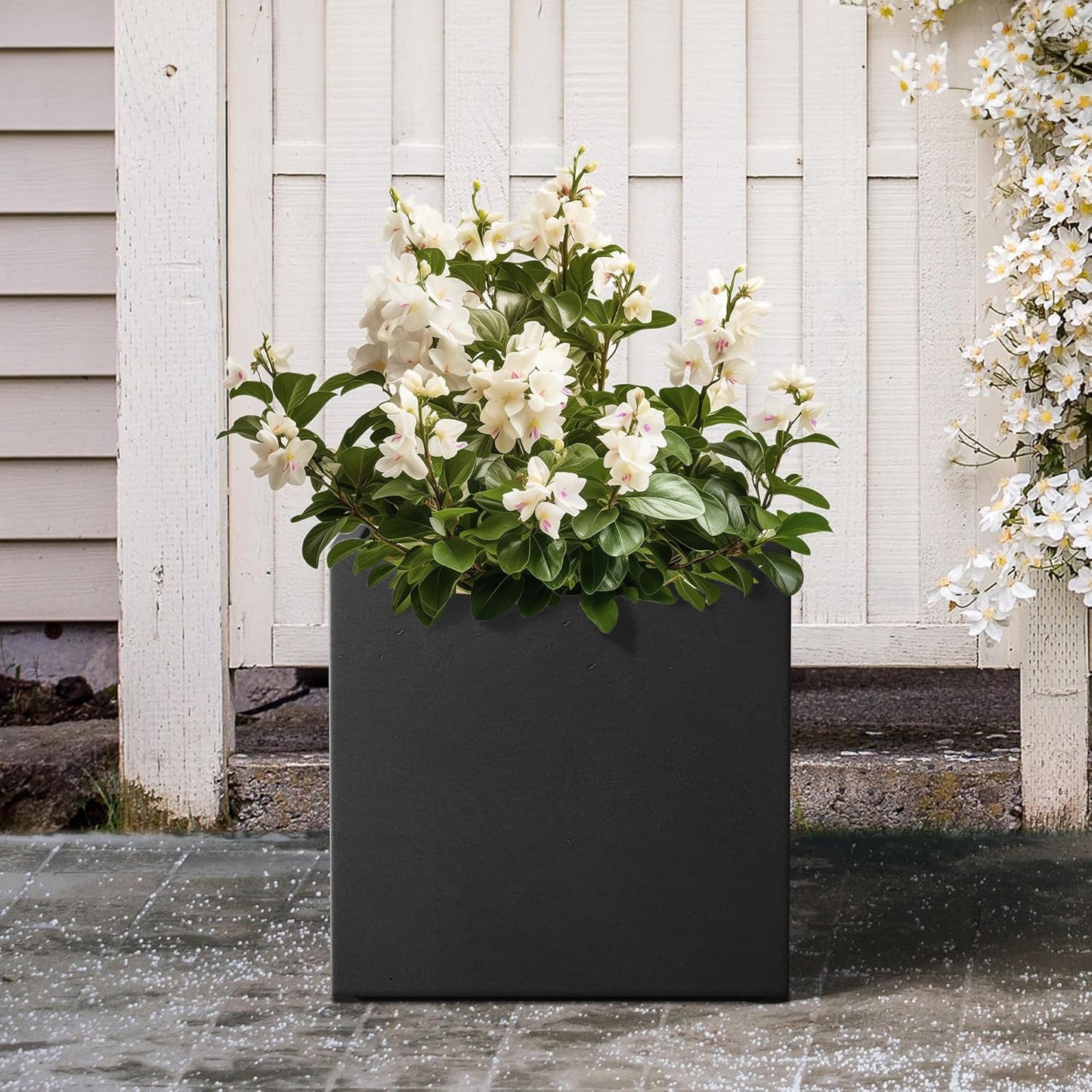 Kante 10 Inch Square Concrete Planter for Outdoor Indoor Home Patio Garden, Large Plant Pot with Drainage Hole and Rubber Plug, Black