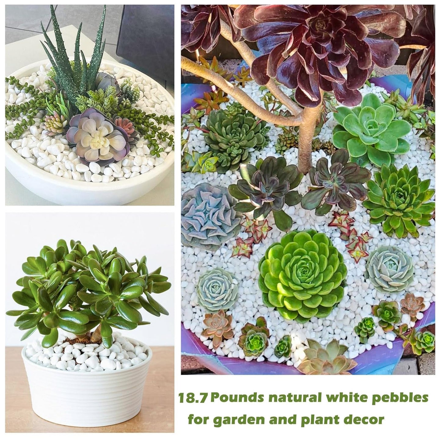 18.7 Lbs Natural River Rocks for Plants 1.6"-2.5" Small White Landscaping Garden Stones White Aquarium Gravel for Decorative Pebbles for Indoor Outdoor Planters