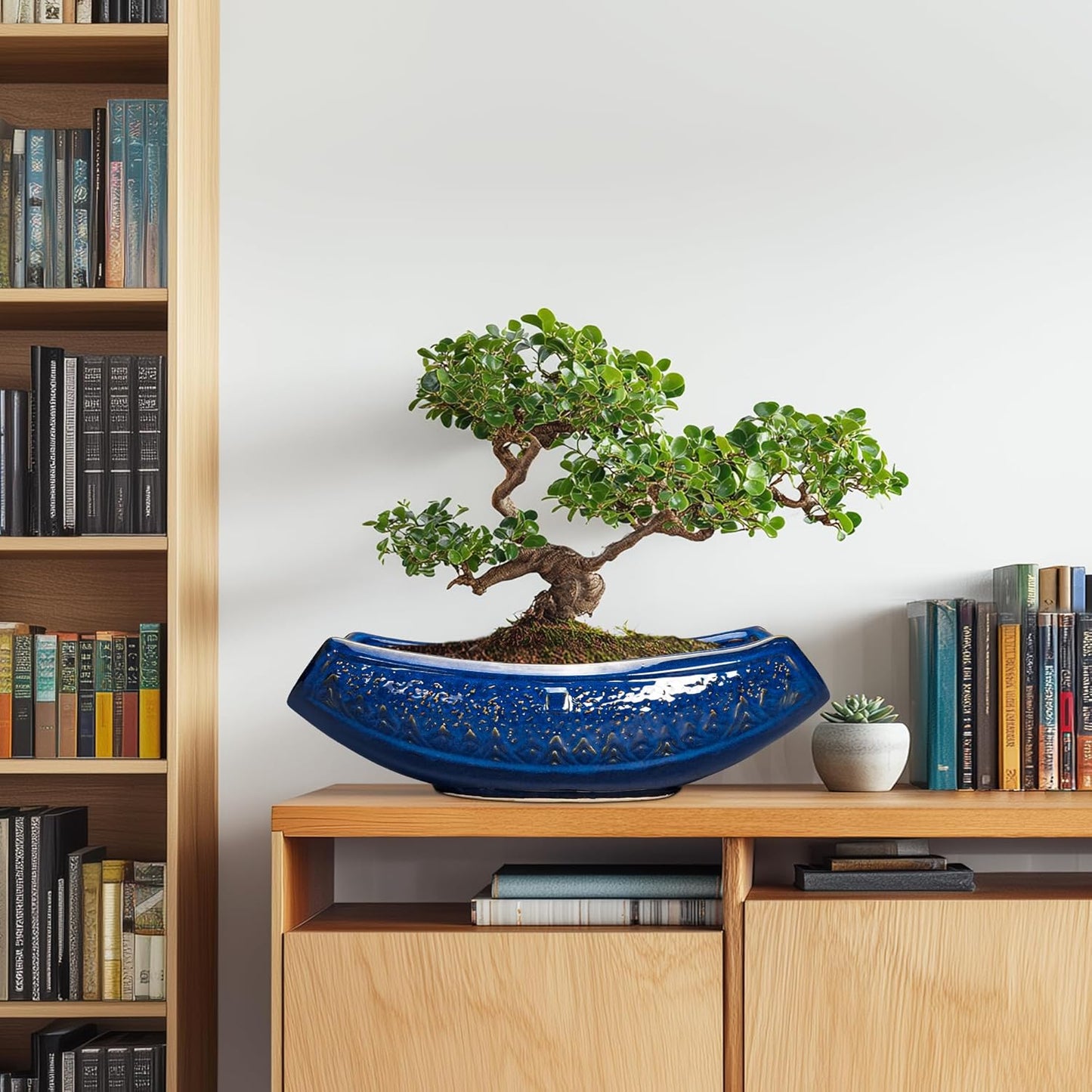 Bonsai Pots - 18 Inch Large Ceramic Succulent Pots for Indoor Outdoor, Bonsai Planter with Drainage Hole, Ceramic Flower Pot, Decorative Plant Pot, Gifts for Plant Lovers, Office Decor, Blue