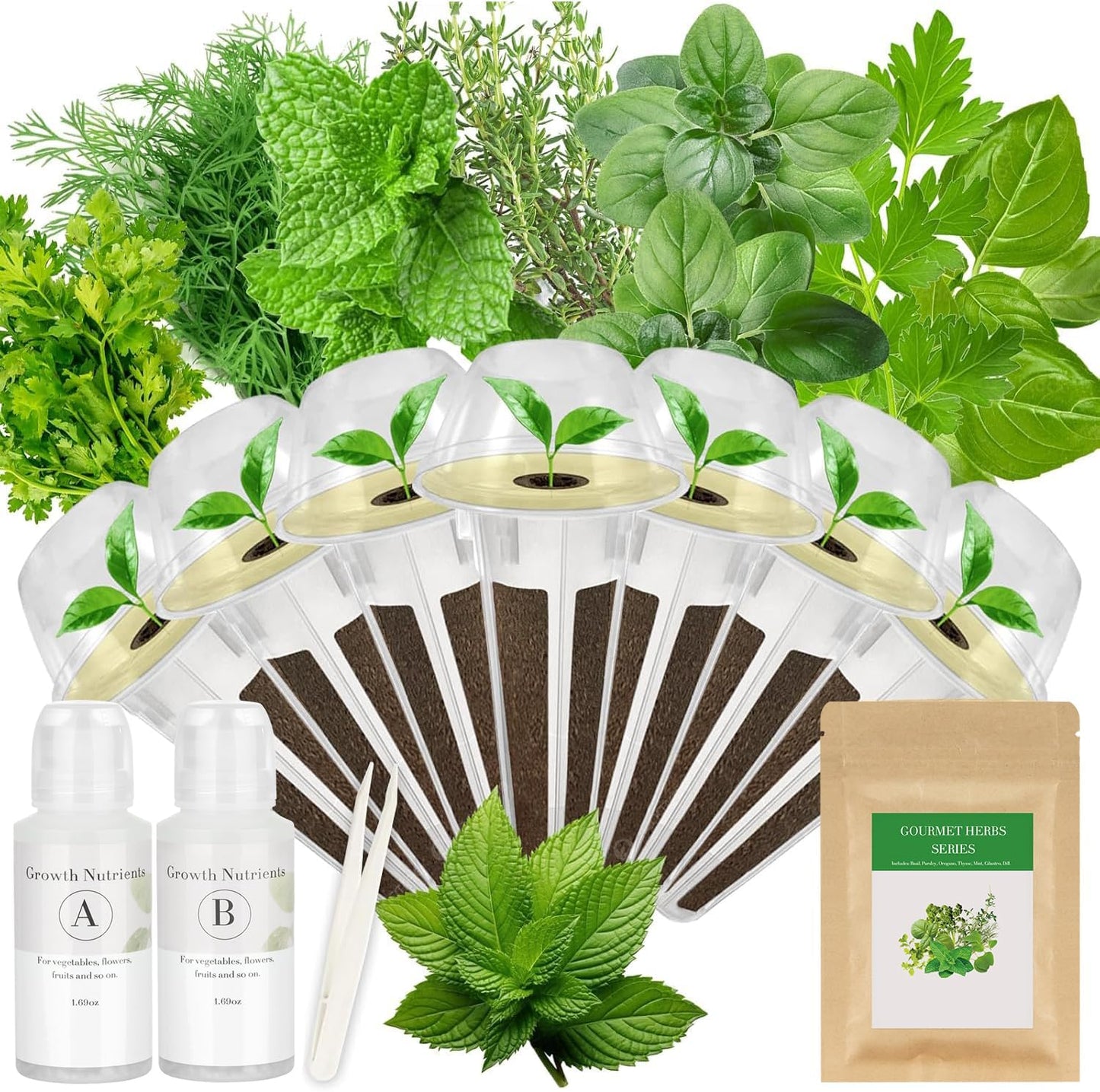 Gourmet Herbs Seed Pod Kit for AeroGarden, iDoo, Ahopegarden, MUFGA Hydroponics Garden with Basil, Parsley, Thyme, Mint, Cilantro, Dill, Oregano - Compatible with All Hydroponics (7-Pod)