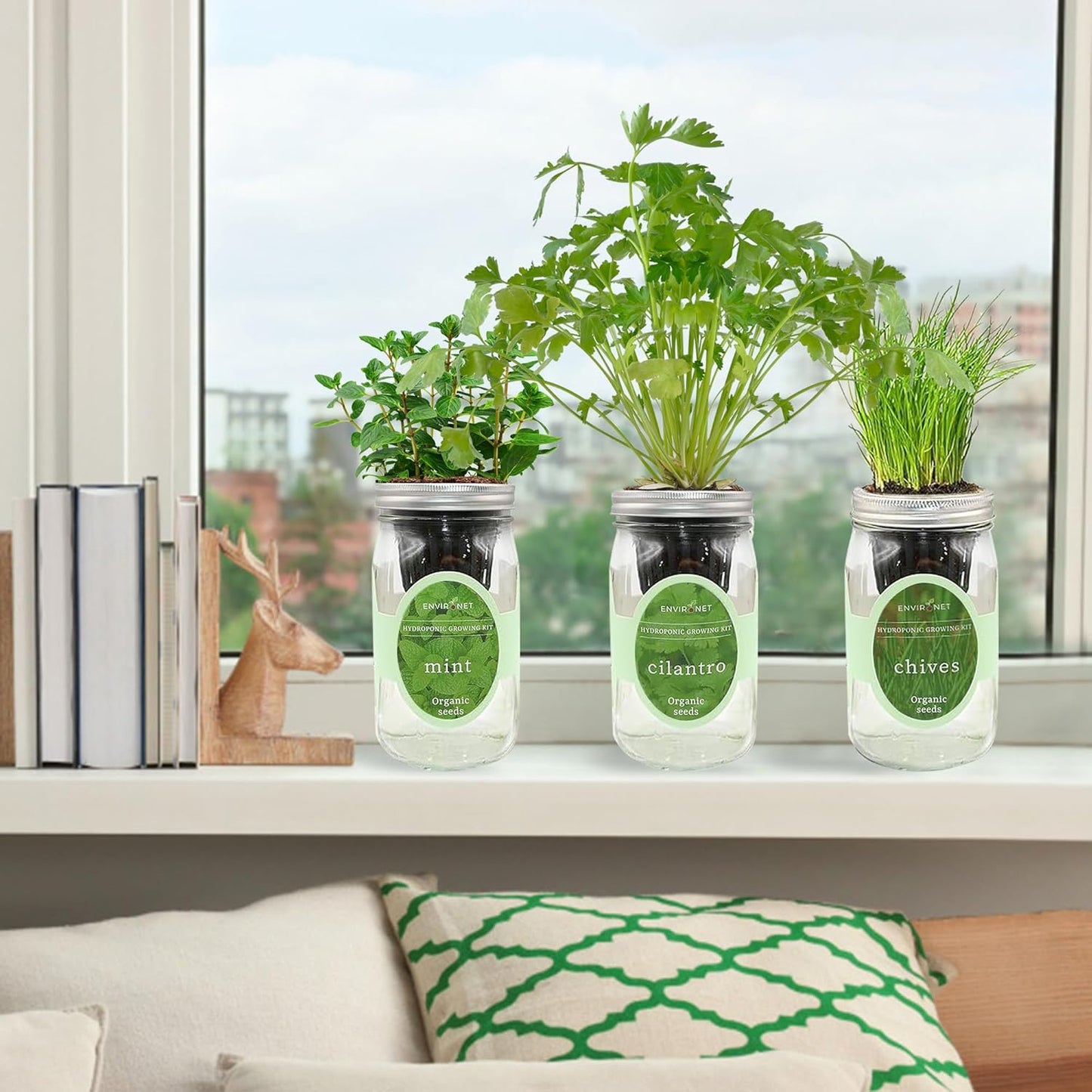 Hydroponic Herb Growing Kit Set, Self-Watering Mason Jar Herb Garden Starter Kit Indoor, Grow Your Own Herbs from Seeds (Cilantro, Mint & Chives)