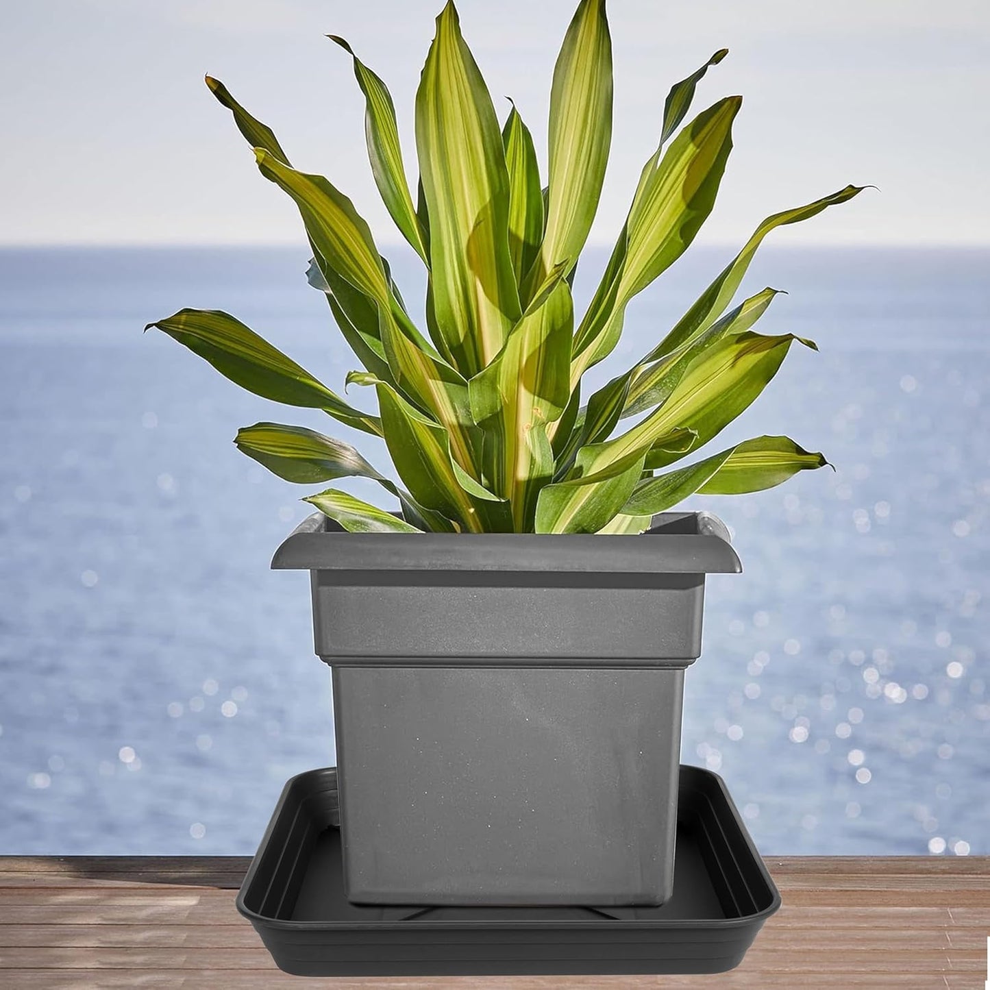 4 Pack Square Plant Saucer Tray 18 inch, Heavy Duty Plastic Plant Saucers for Indoors Outdoor, Flower Plant Drip Trays for Pots, Square Seed Starting Tray, Seedling Growing Trays