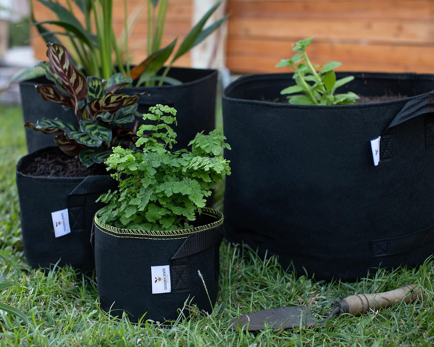 Grow Bags: 5-Pack (Size: 1 Gallon): 300gsm Black Felt Fabric w/Yellow Stitch, Biodegradable and eco-Friendly Material. (Handles + Dumping Handles-pat.Pend).