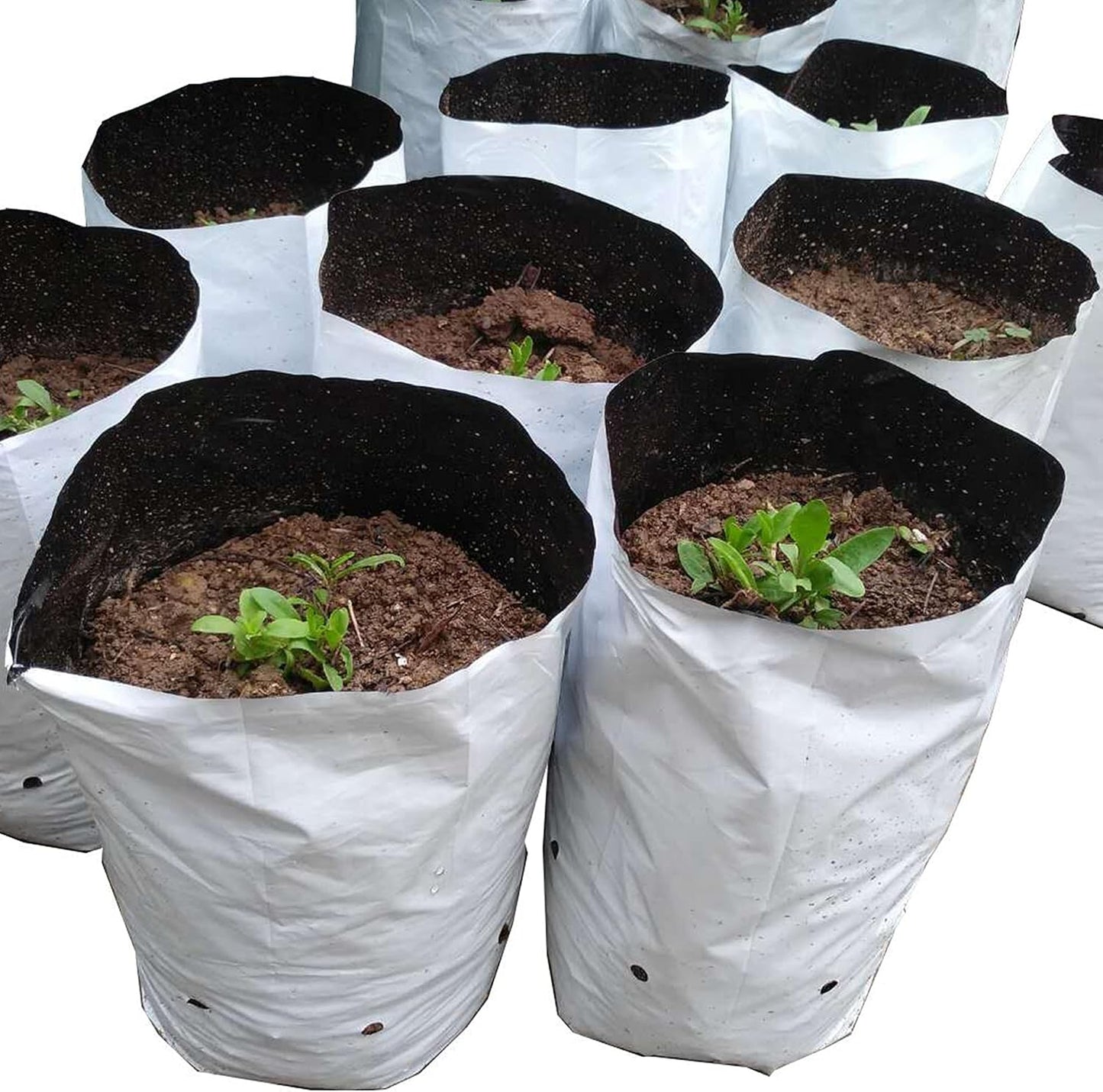HFS(R Poly Grow Bag Planters Panda Film Black and White for Nursery Horticulture 1 Gallon - 50 PC
