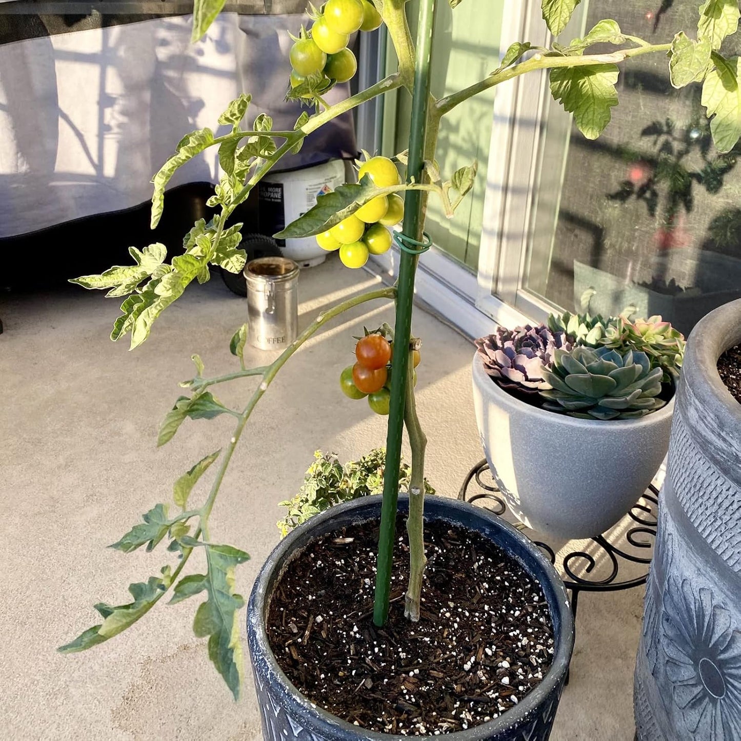 Garmeinea Garden Stakes 24 Inches Plastic Coated Steel Plant Stakes for Growing Climbing Plants, Pack of 25