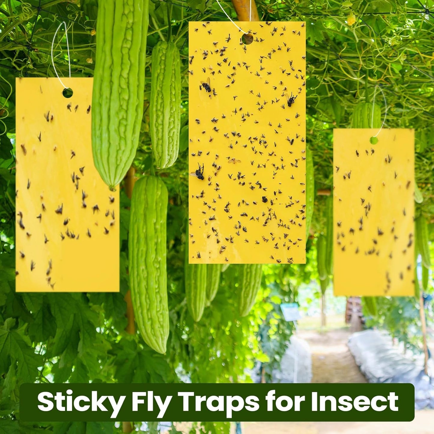 Qualirey 100 Pcs 7.87 x 3.9 Inch Sticky Traps for Plant Double Sided Sticky Trap for Gnats with Twist Ties Fly Traps for Fruit Insect Fungus Bugs Indoor Outdoor(Yellow)